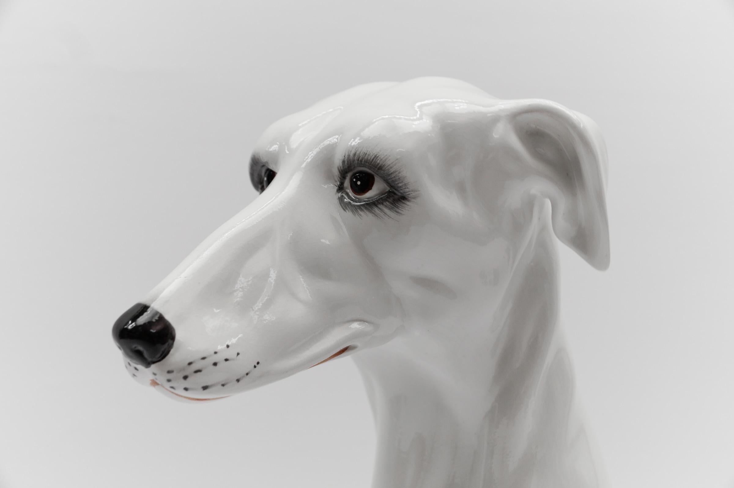 Italian Huge Realistic Ceramic Greyhound from Italy, 1960s