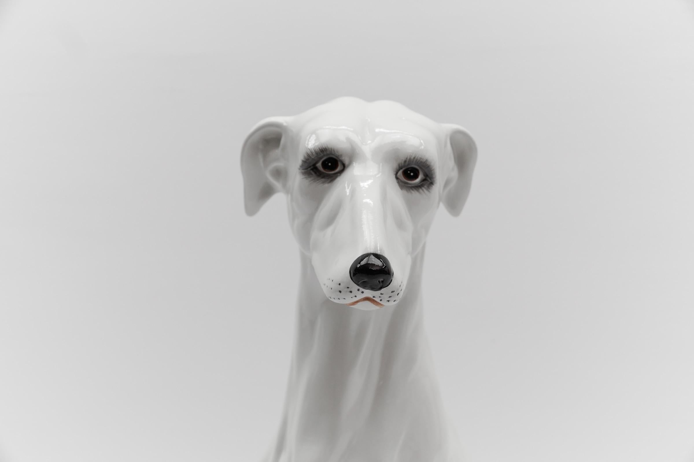 Huge Realistic Ceramic Greyhound from Italy, 1960s In Good Condition In Nürnberg, Bayern