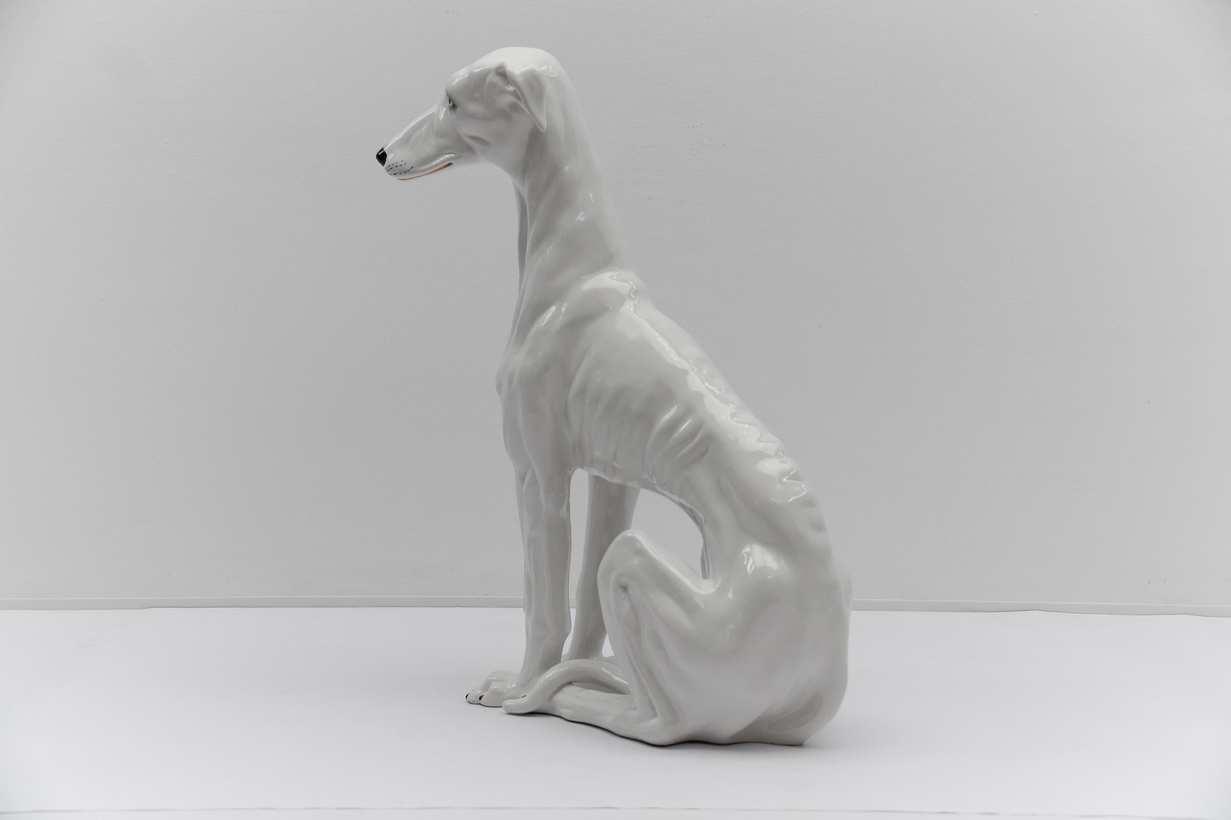 Mid-20th Century Huge Realistic Ceramic Greyhound from Italy, 1960s