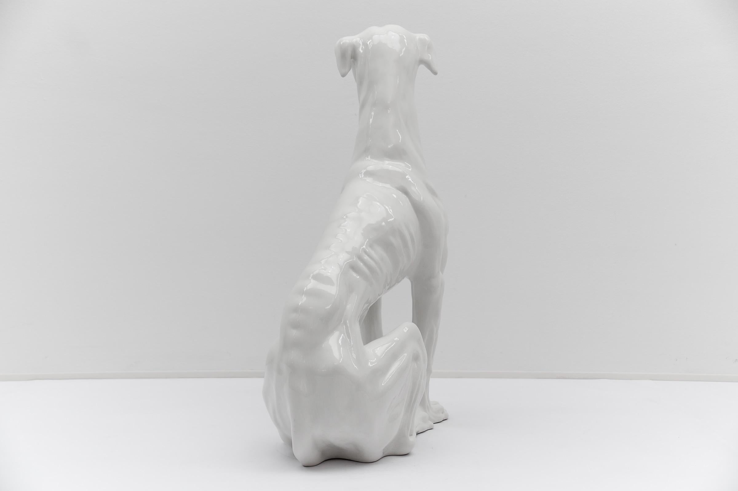 Huge Realistic Ceramic Greyhound from Italy, 1960s 1