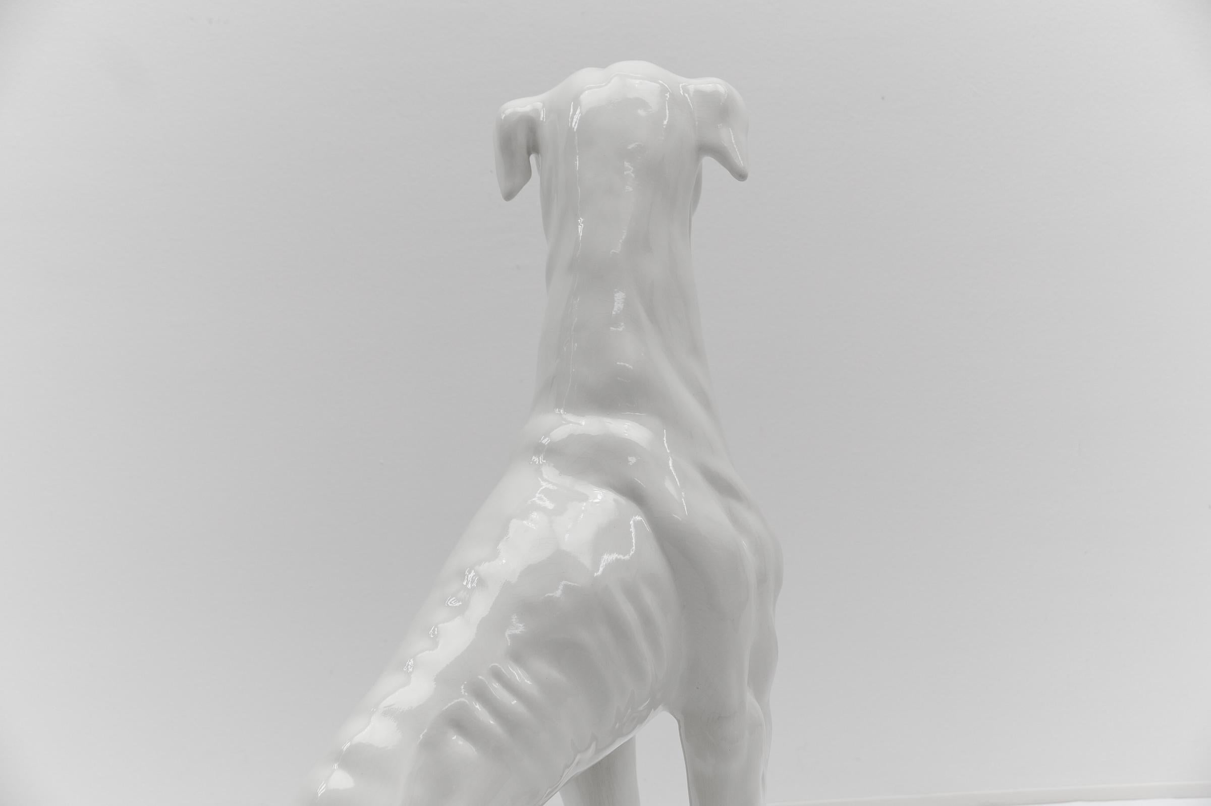 Huge Realistic Ceramic Greyhound from Italy, 1960s 2