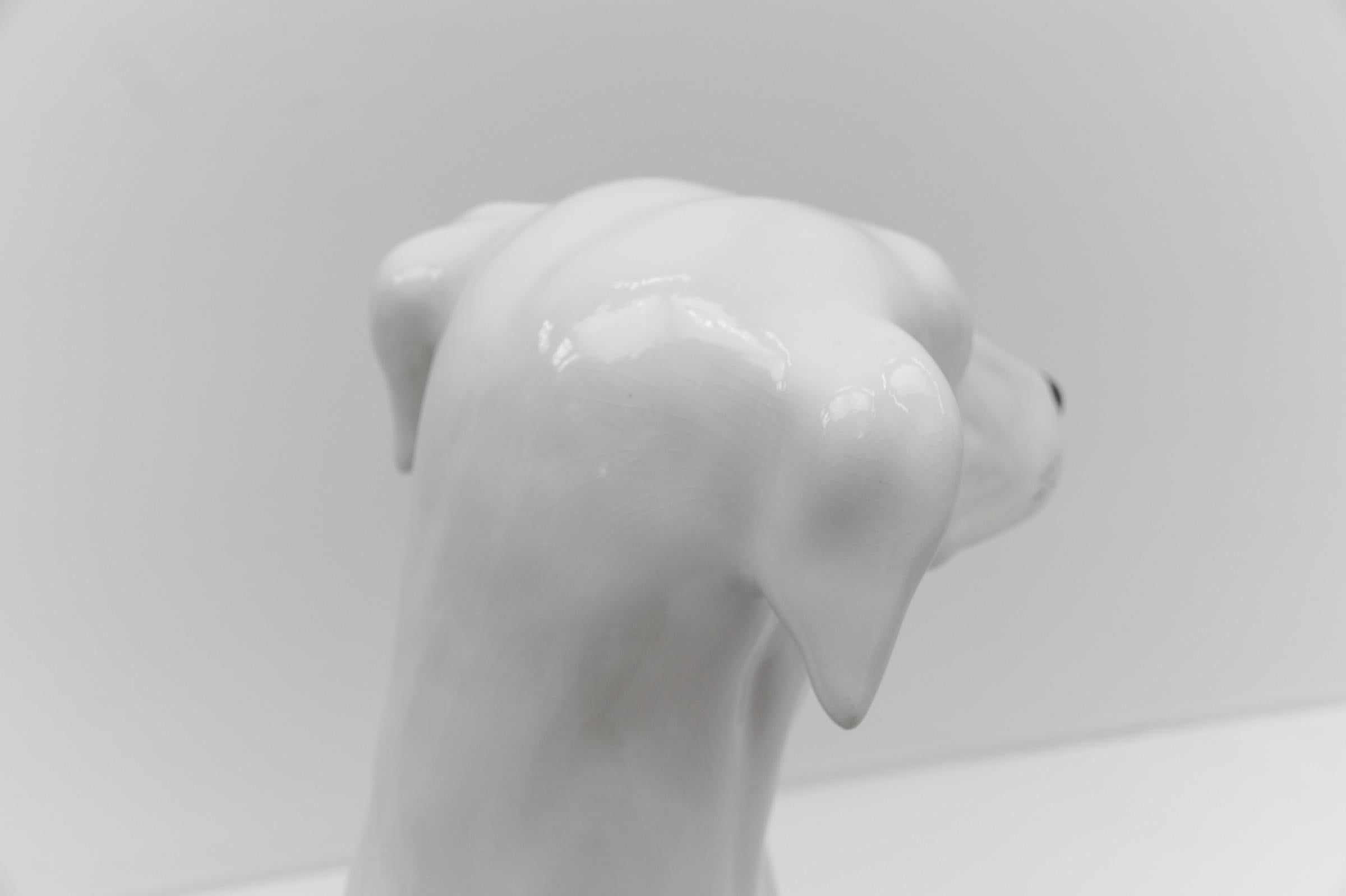 Huge Realistic Ceramic Greyhound from Italy, 1960s 3