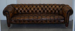 Huge Restored Victorian Chesterfield Brown Leather Sofa Horse Hair Coil Sprung