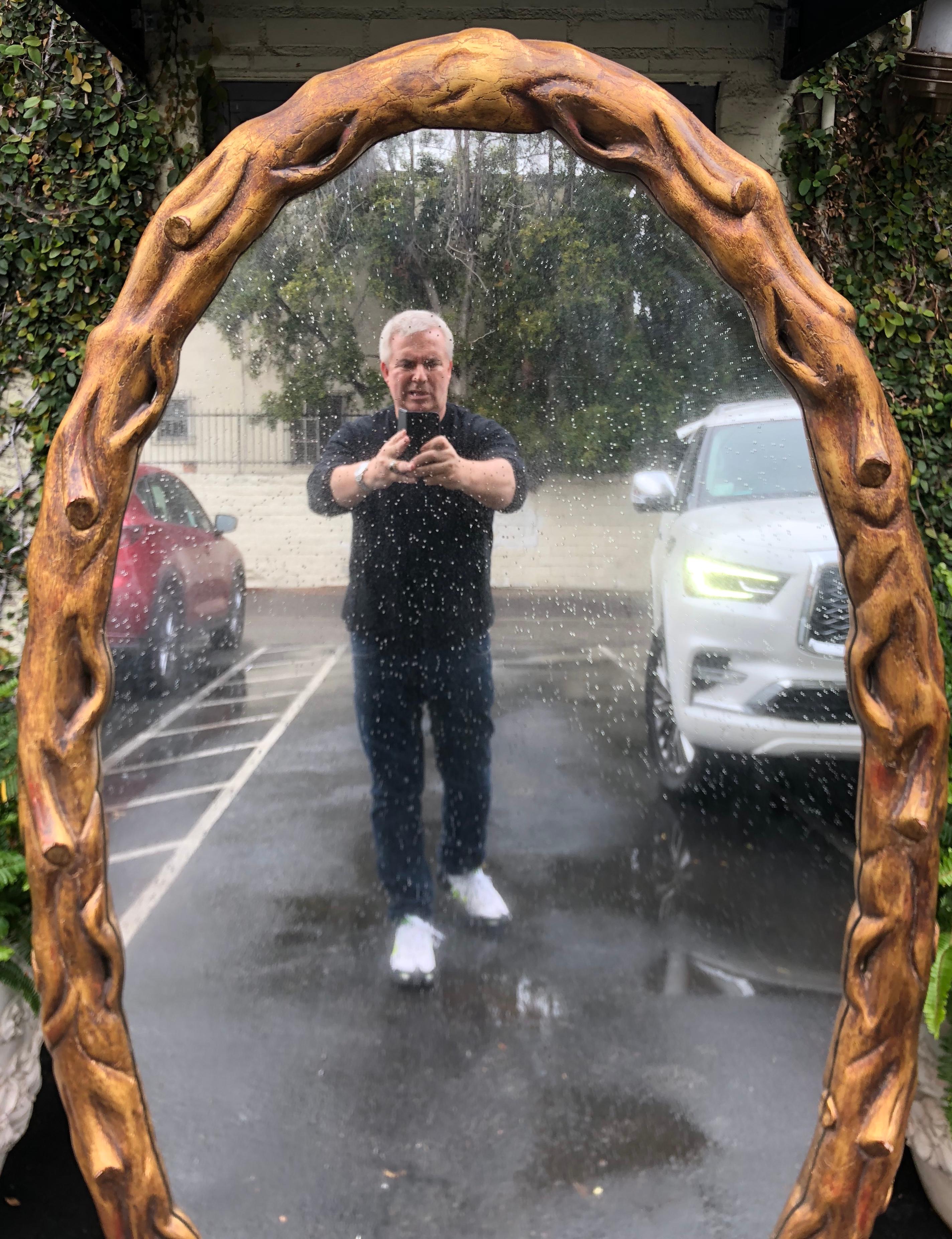 Huge Rose Tarlow Giltwood Designer Mirror In Good Condition In LOS ANGELES, CA