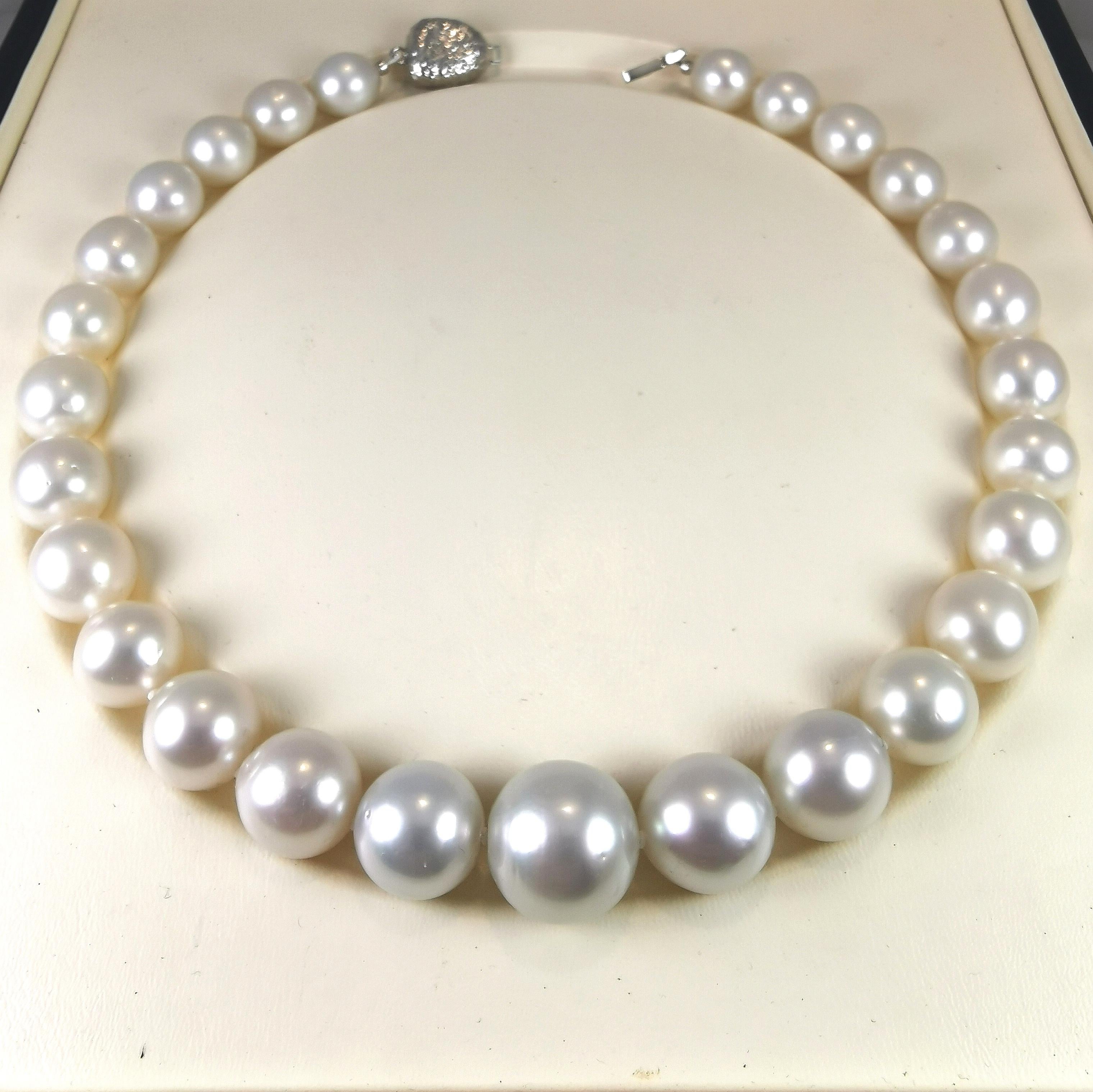 Huge Southsea pearls Necklace with 925S. Clasp For Sale 2