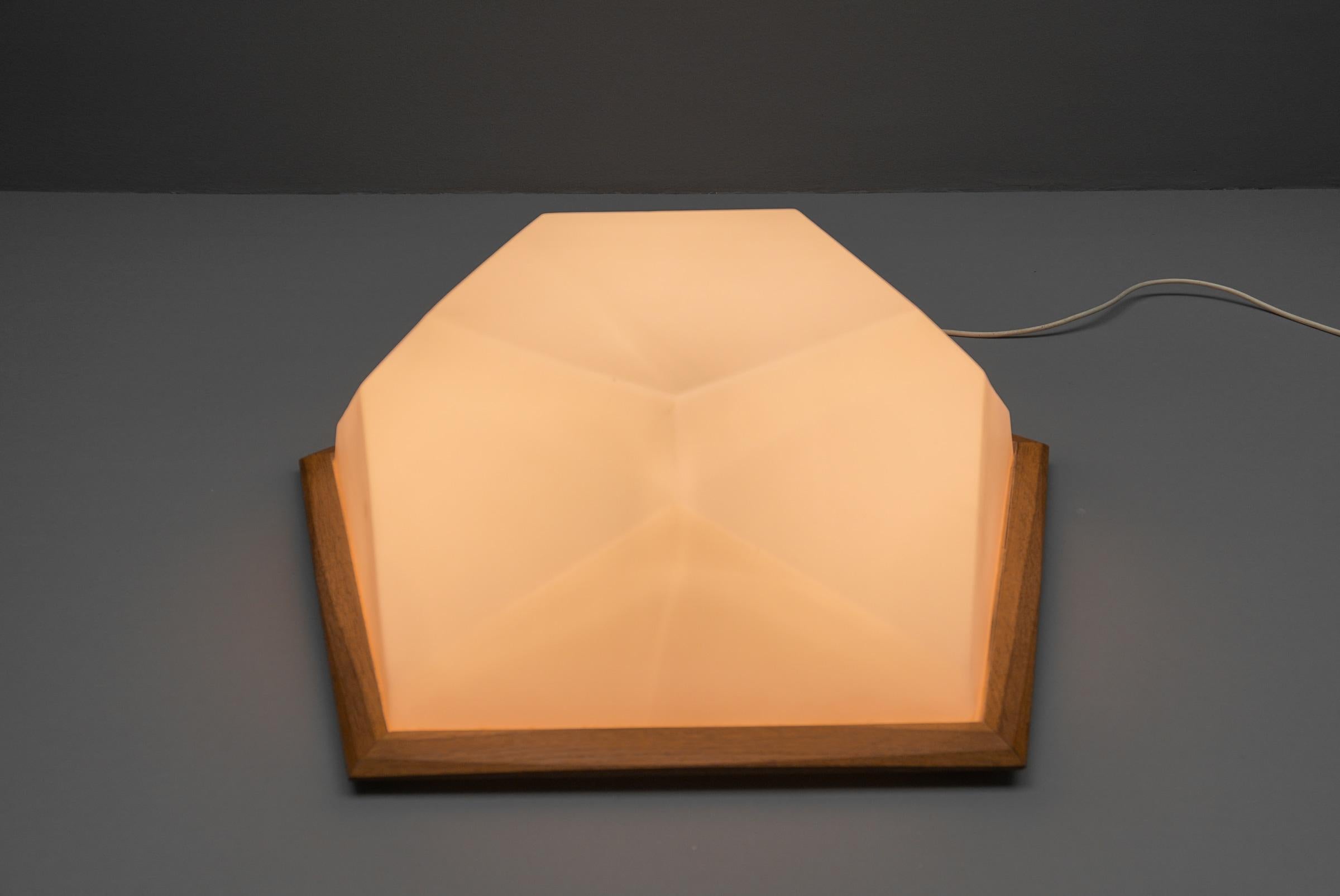 HugeAnthroposophical Wall or Ceiling Lamp Made of Hard Plastic by Rudolf Dörfler For Sale 7
