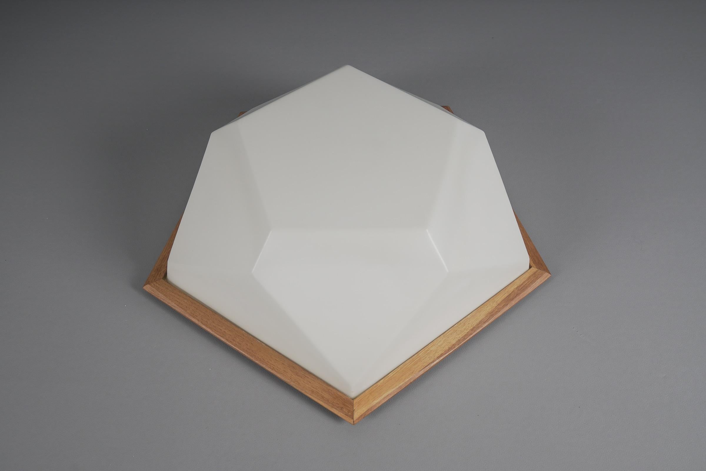 Mid-20th Century HugeAnthroposophical Wall or Ceiling Lamp Made of Hard Plastic by Rudolf Dörfler For Sale