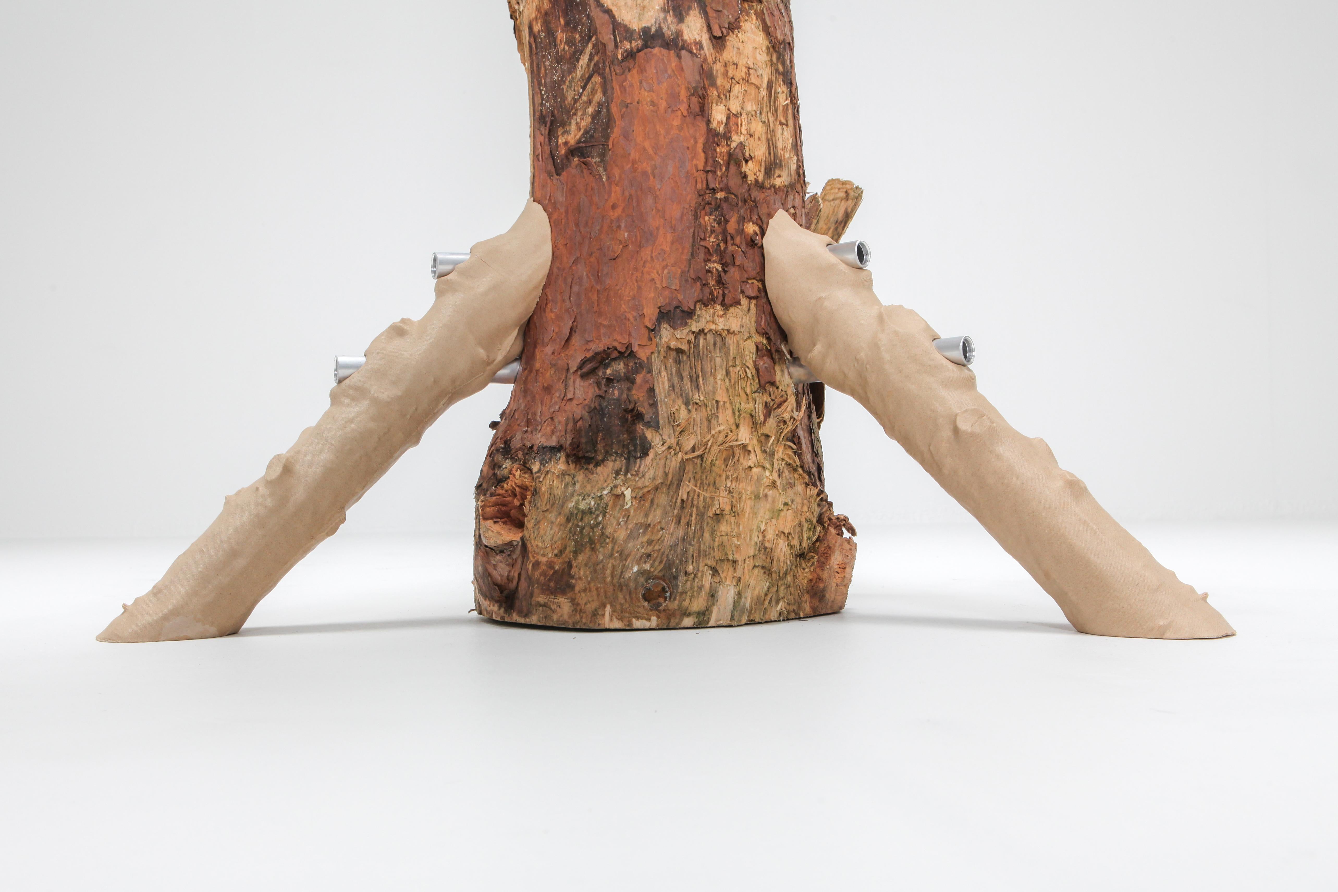 'Hugging and Poking Shelf' Contemporary Wooden Branch Shelf Schimmel & Schweikle For Sale 2
