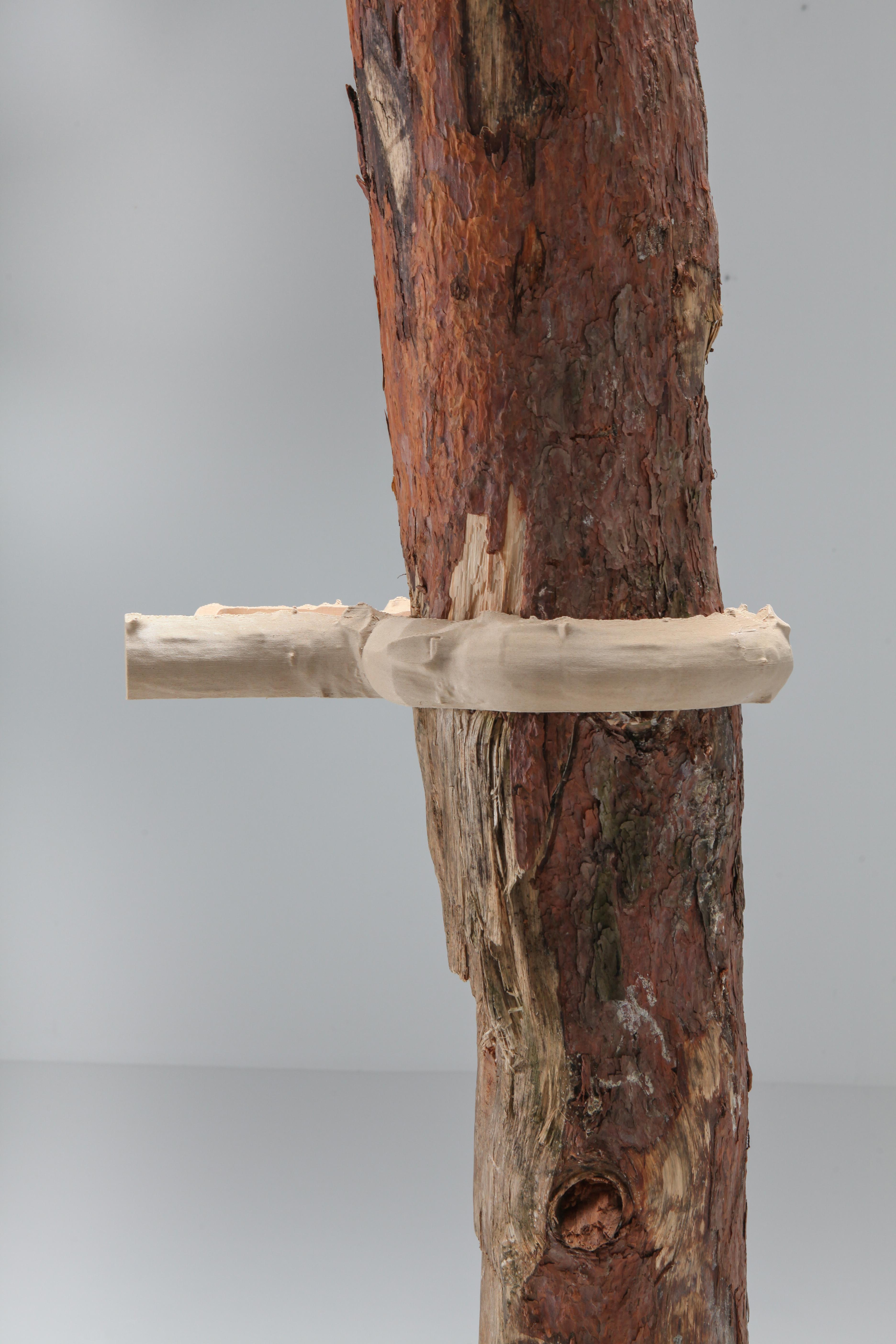 Étagère contemporaine en bois à branches de huit branches Schimmel & Schweikle en vente 8