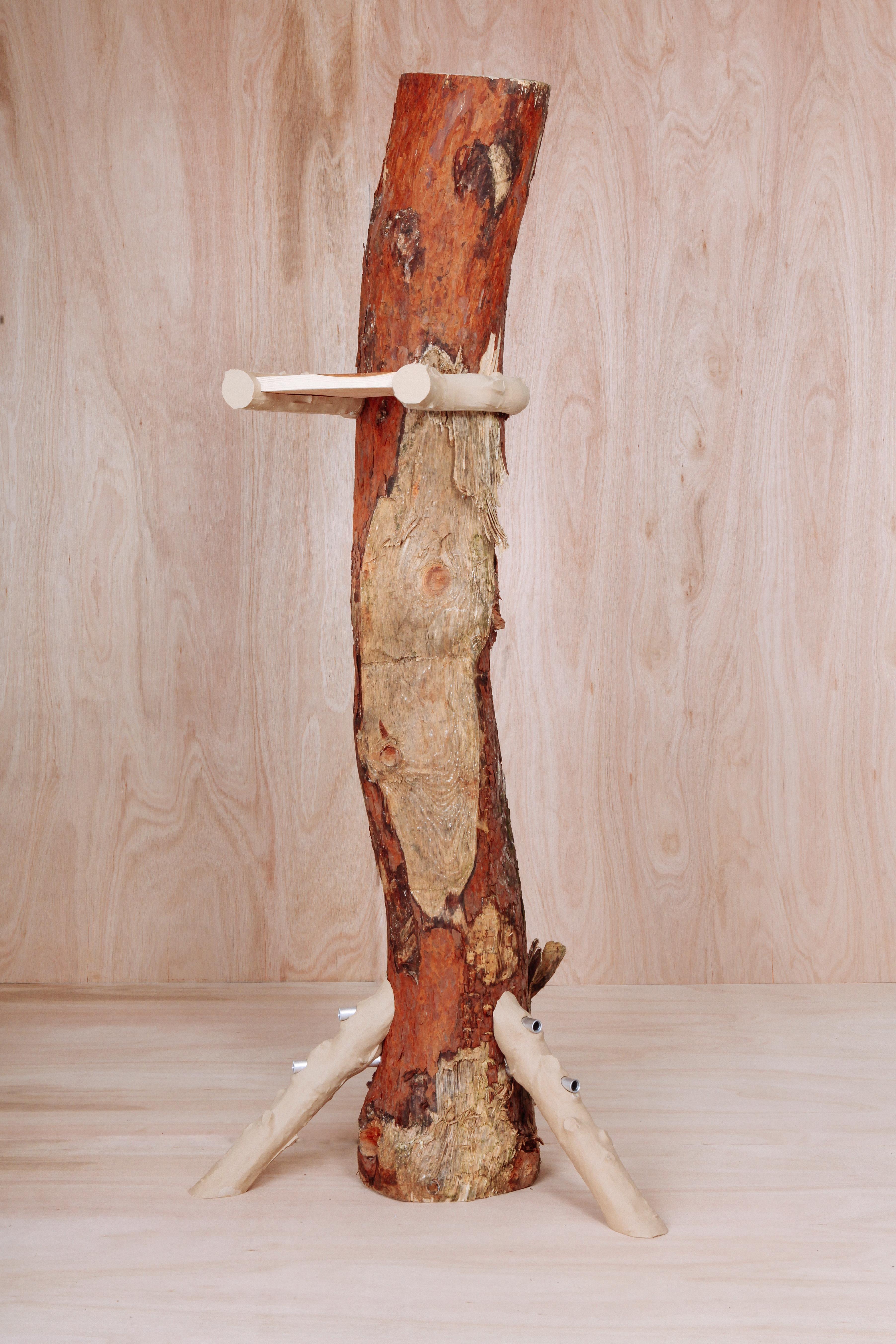 Dutch 'Hugging and Poking Shelf' Contemporary Wooden Branch Shelf Schimmel & Schweikle For Sale