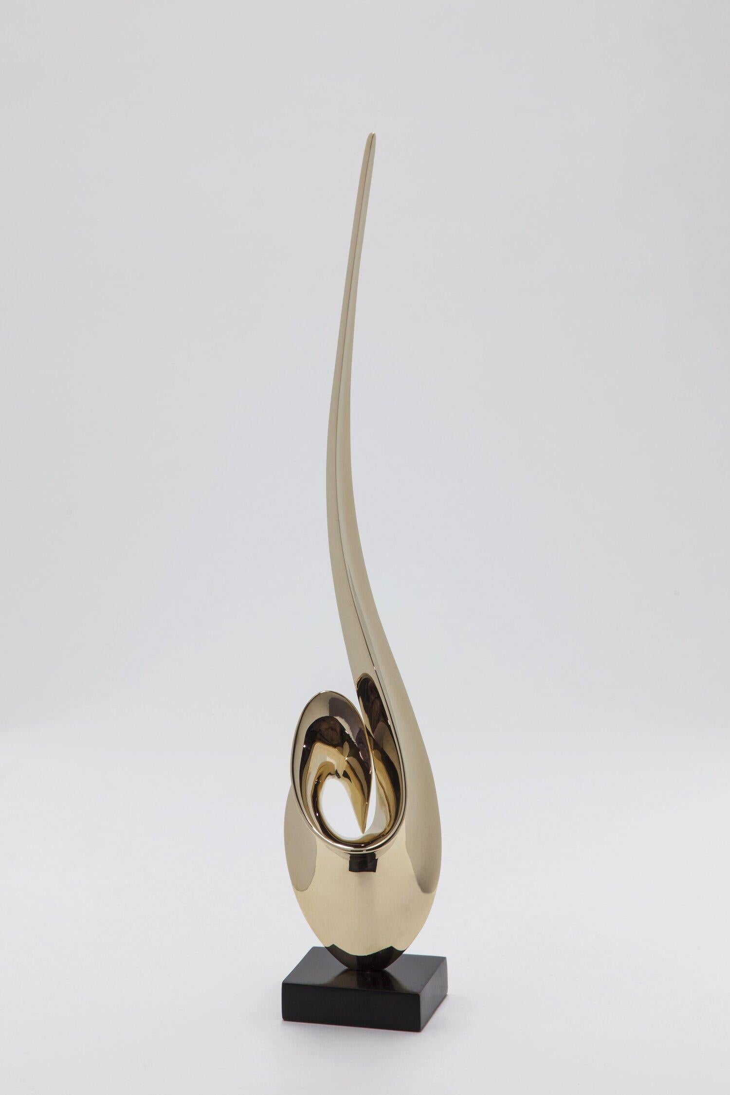 Unfurling Maquette