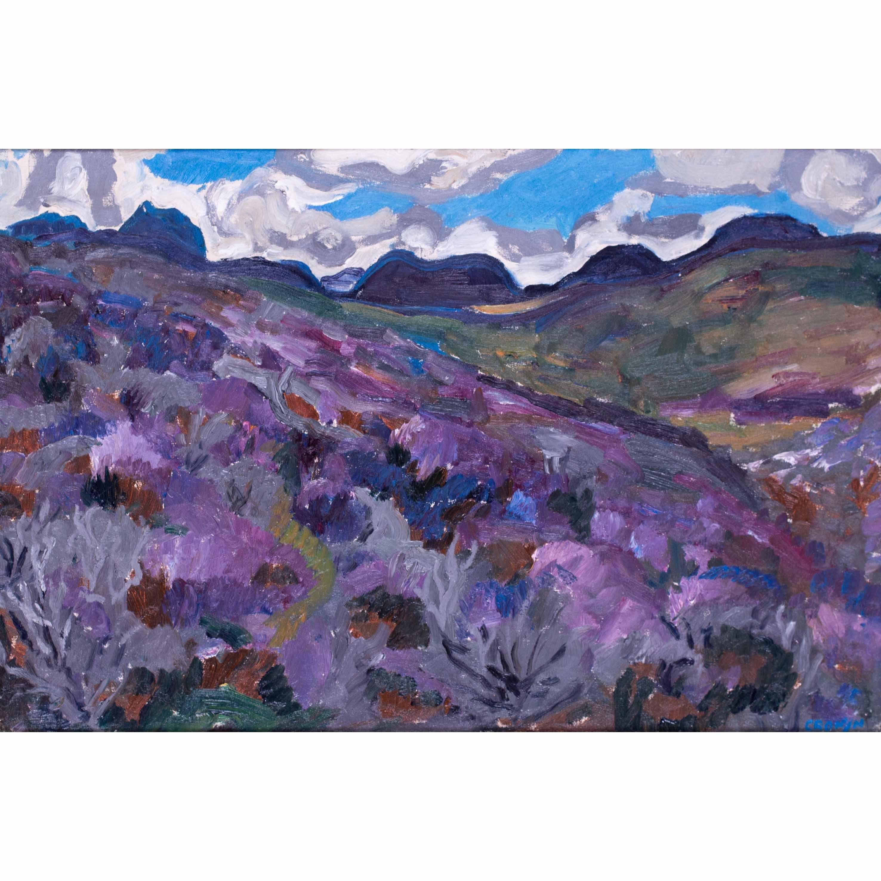 Die niedrigen Berge von Snowdonia, Hugh Cronyn, Britisch, 20. Jahrhundert, Öl im Angebot 5