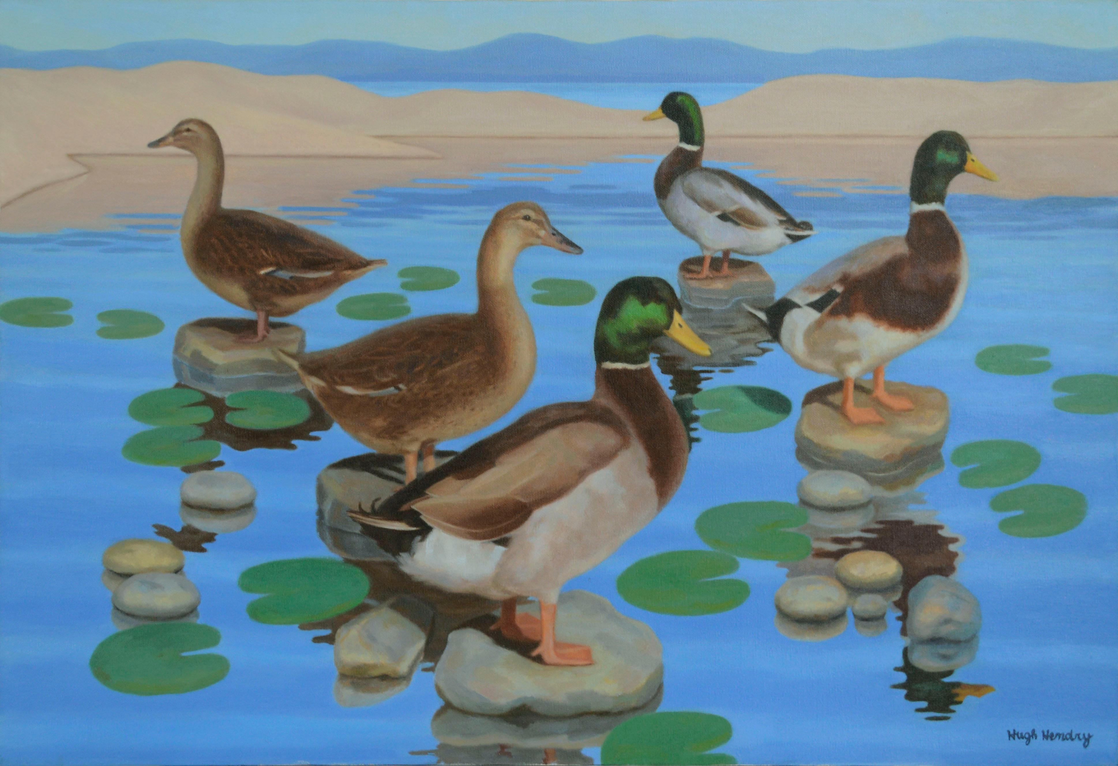 Mallard-Enten im Teich mit Lilienblättern, horizontale Landschaft 