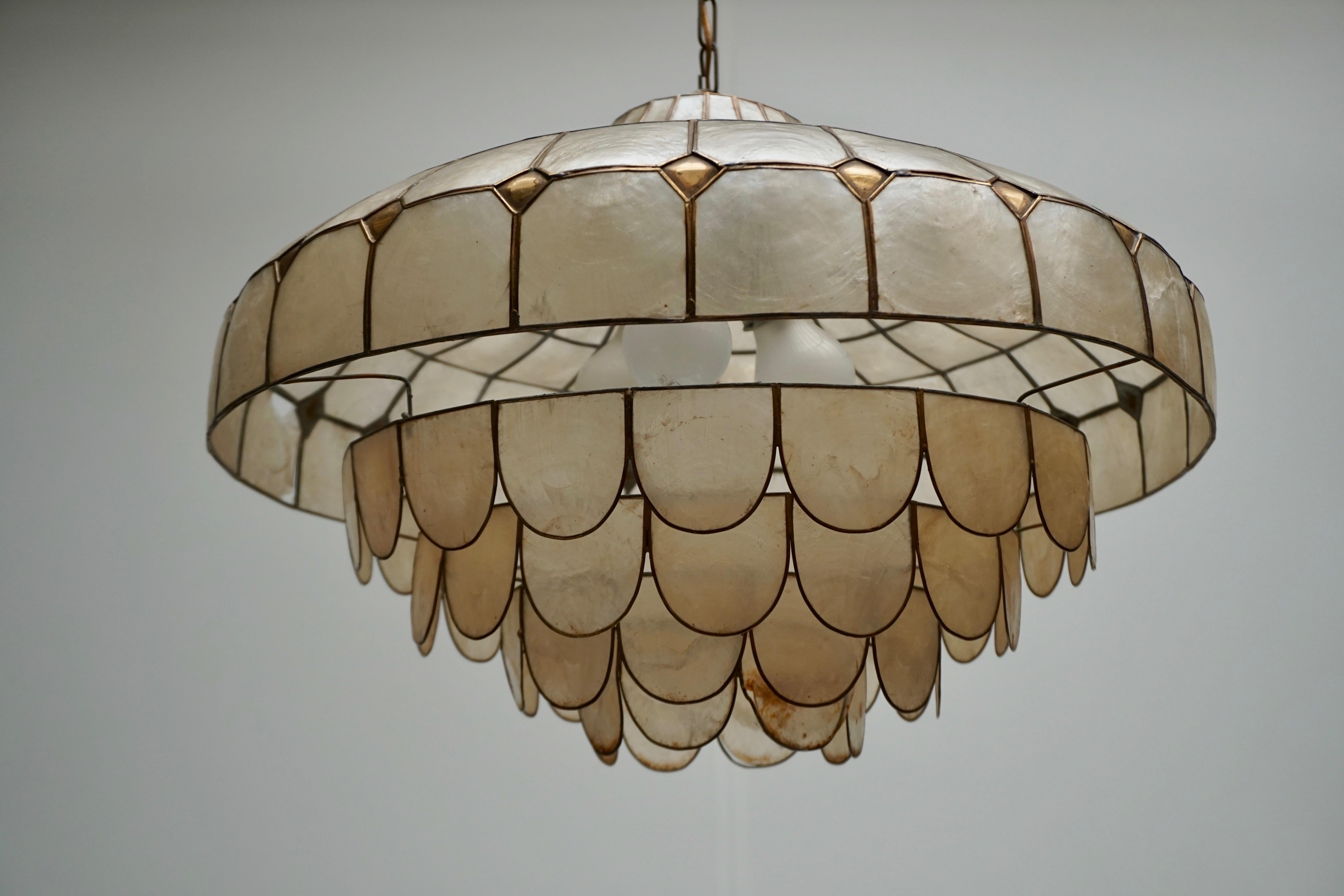 Hugh Capiz Shell and Brass Pendant Lamp, Italy, 1960 3