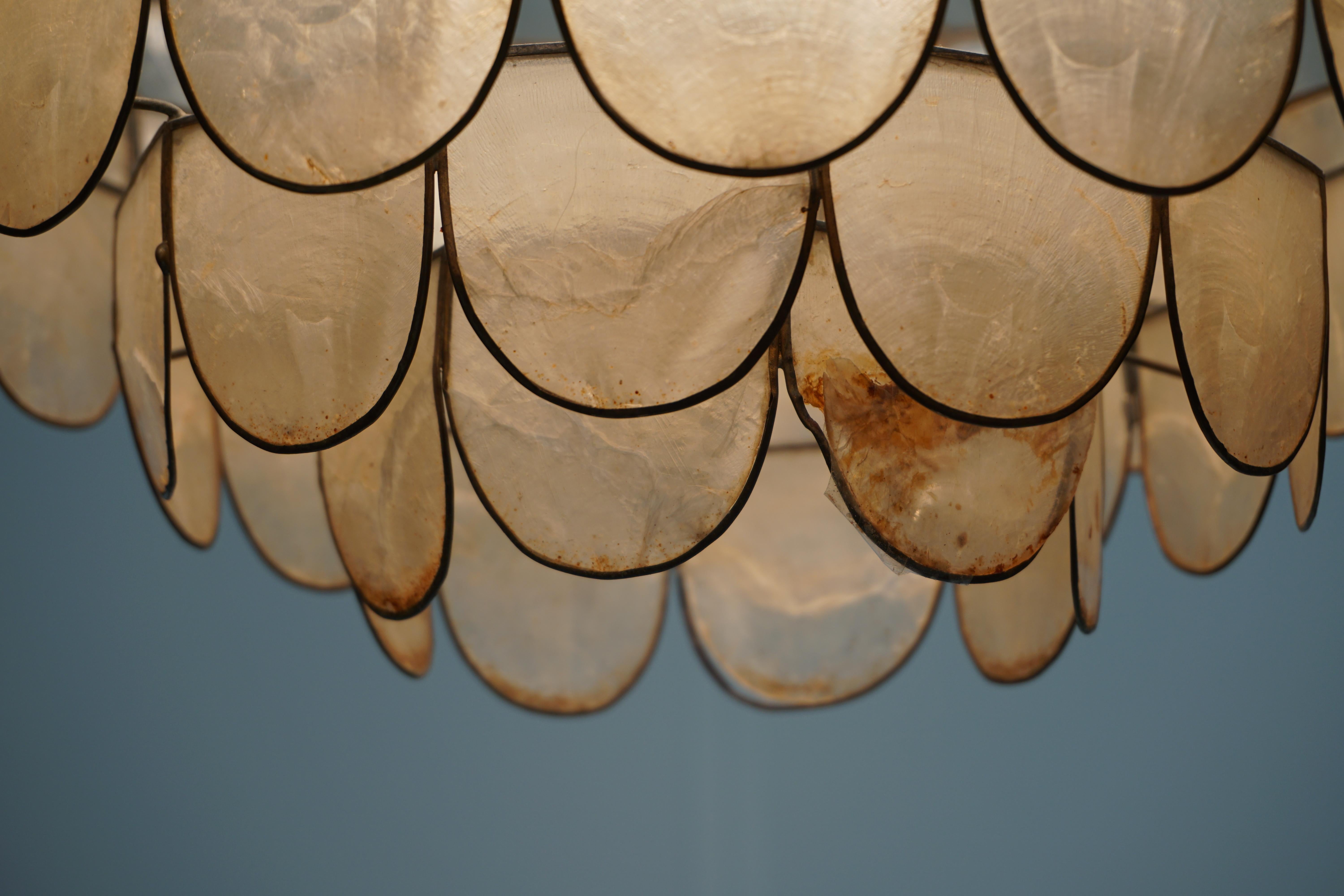 Hugh Capiz Shell and Brass Pendant Lamp, Italy, 1960 5