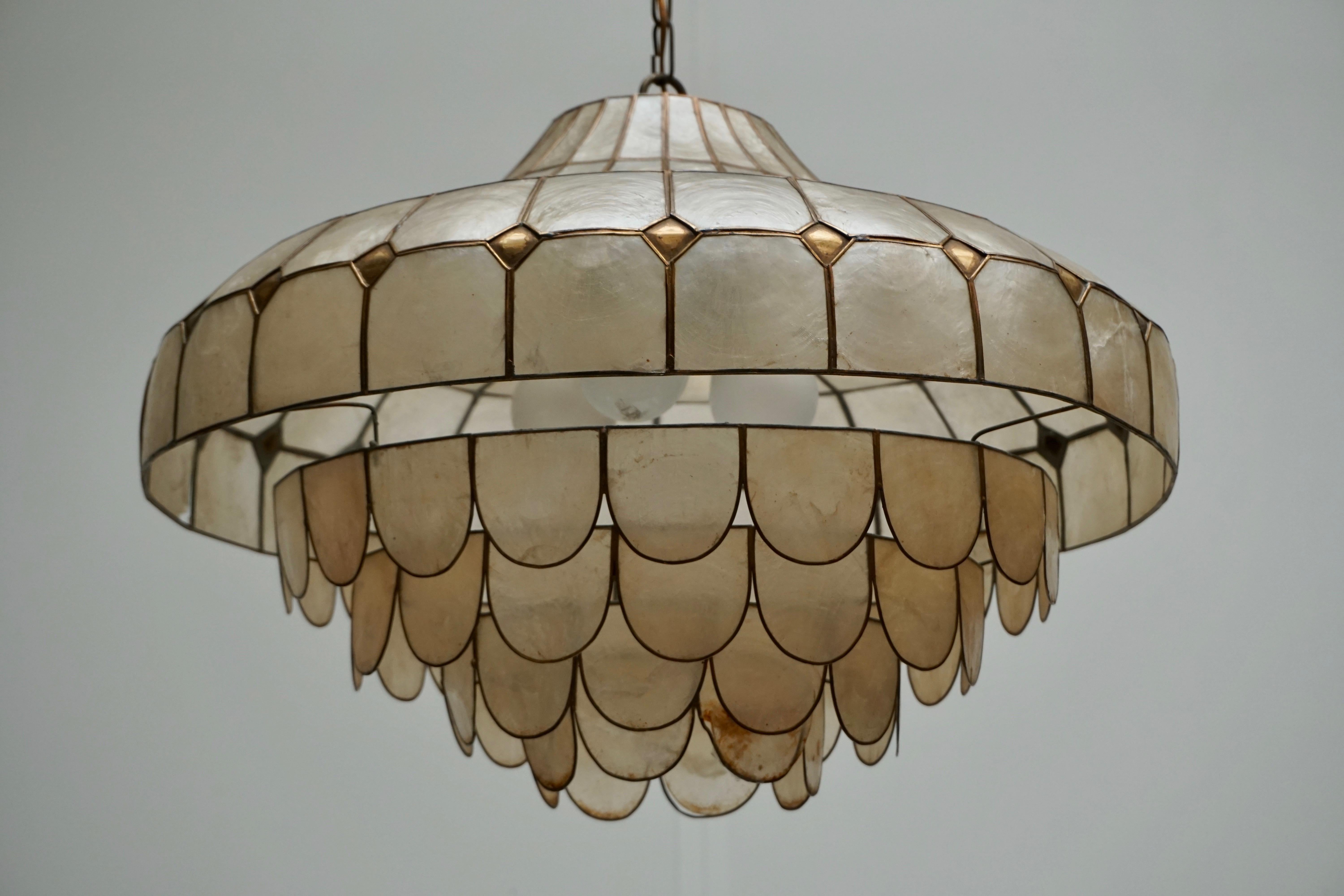 Hugh Capiz Shell and Brass Pendant Lamp, Italy, 1960 6