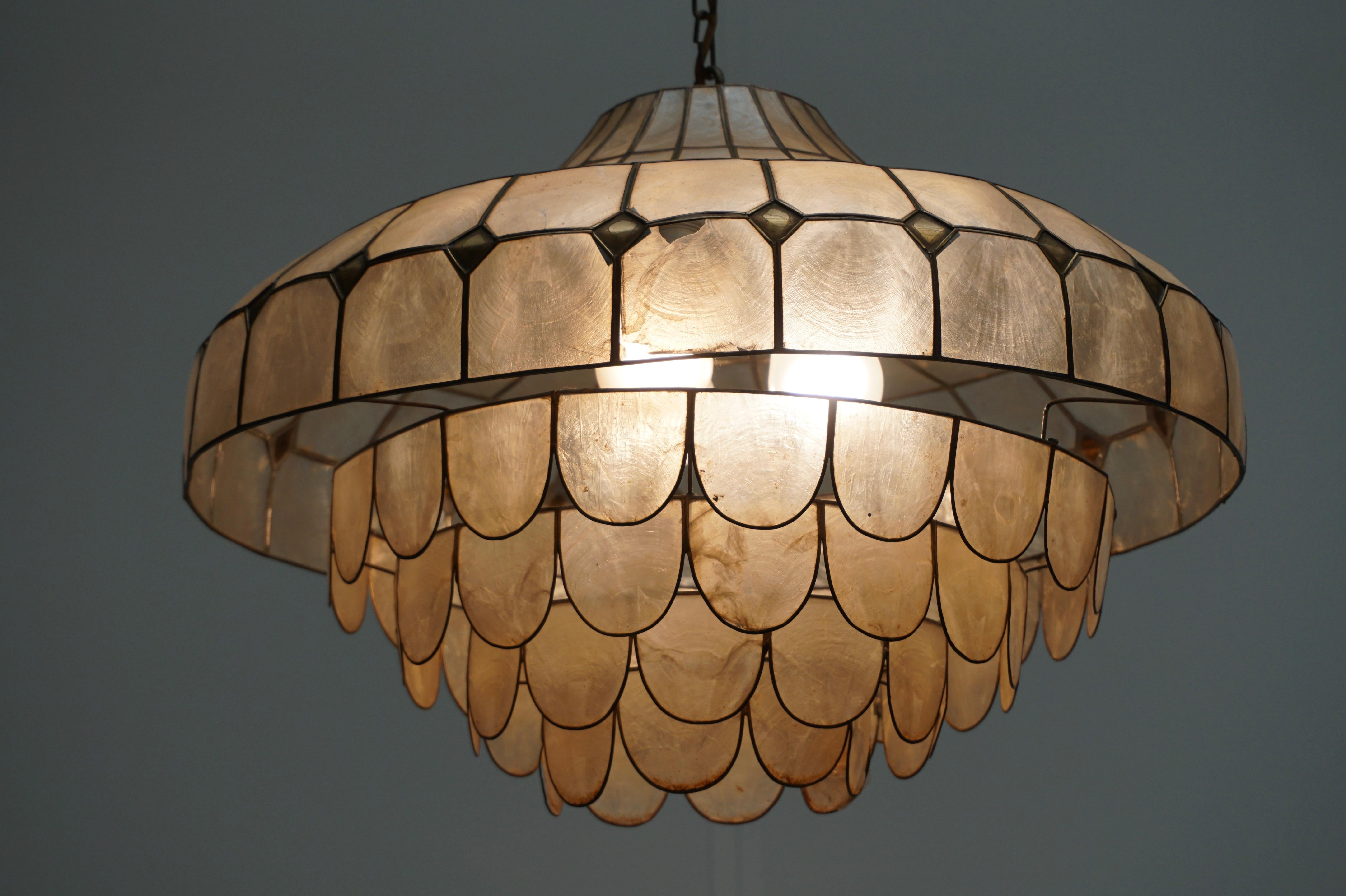 Hugh Capiz Shell and Brass Pendant Lamp, Italy, 1960 9