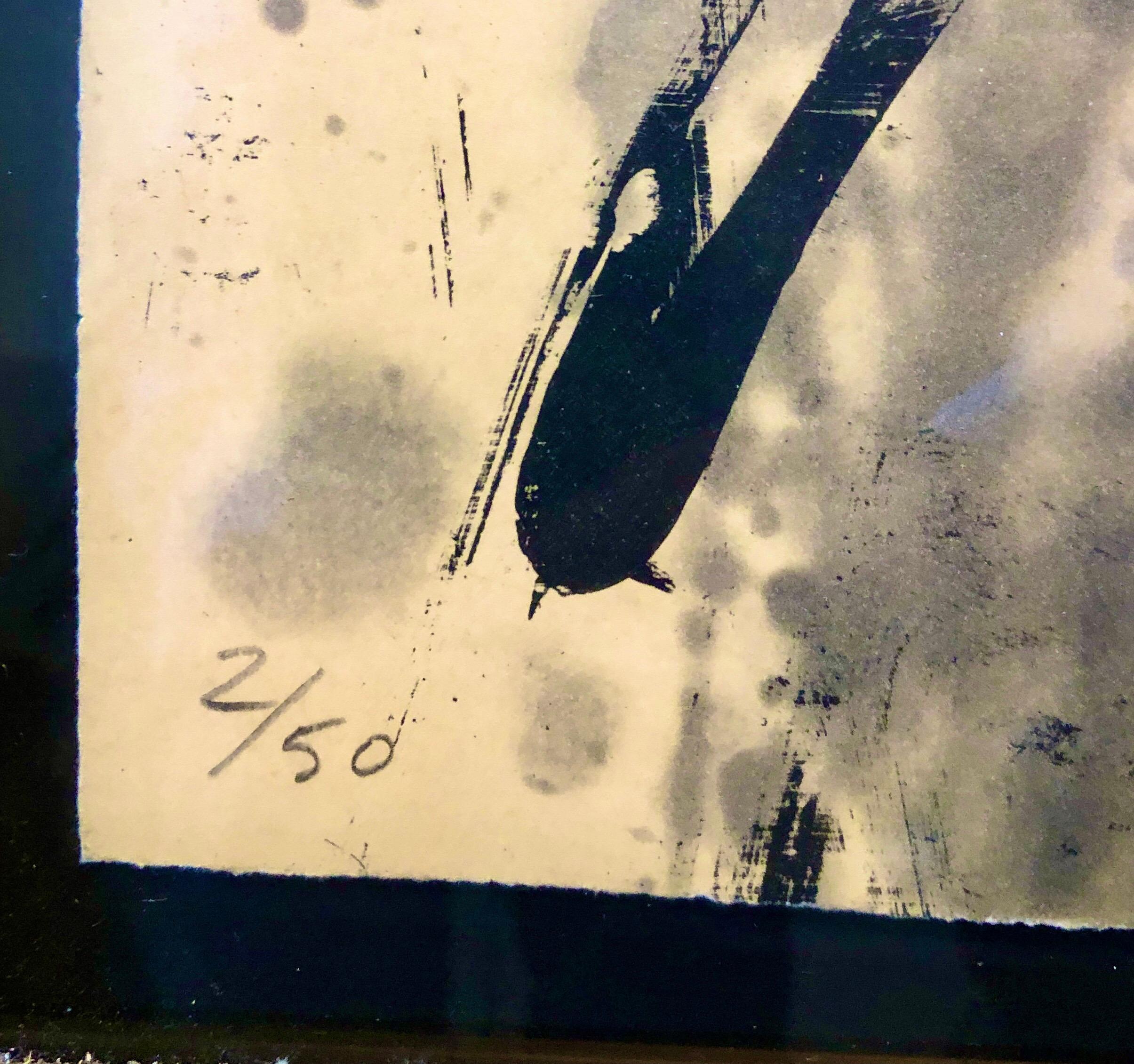 Lacuna, Abstract Expressionist Color Etching from Graphicstudio, Hugh O'Donnell For Sale 3