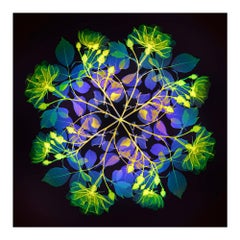 Rosa policromática Fiori II - estampado floral contemporáneo de xograma multicolor