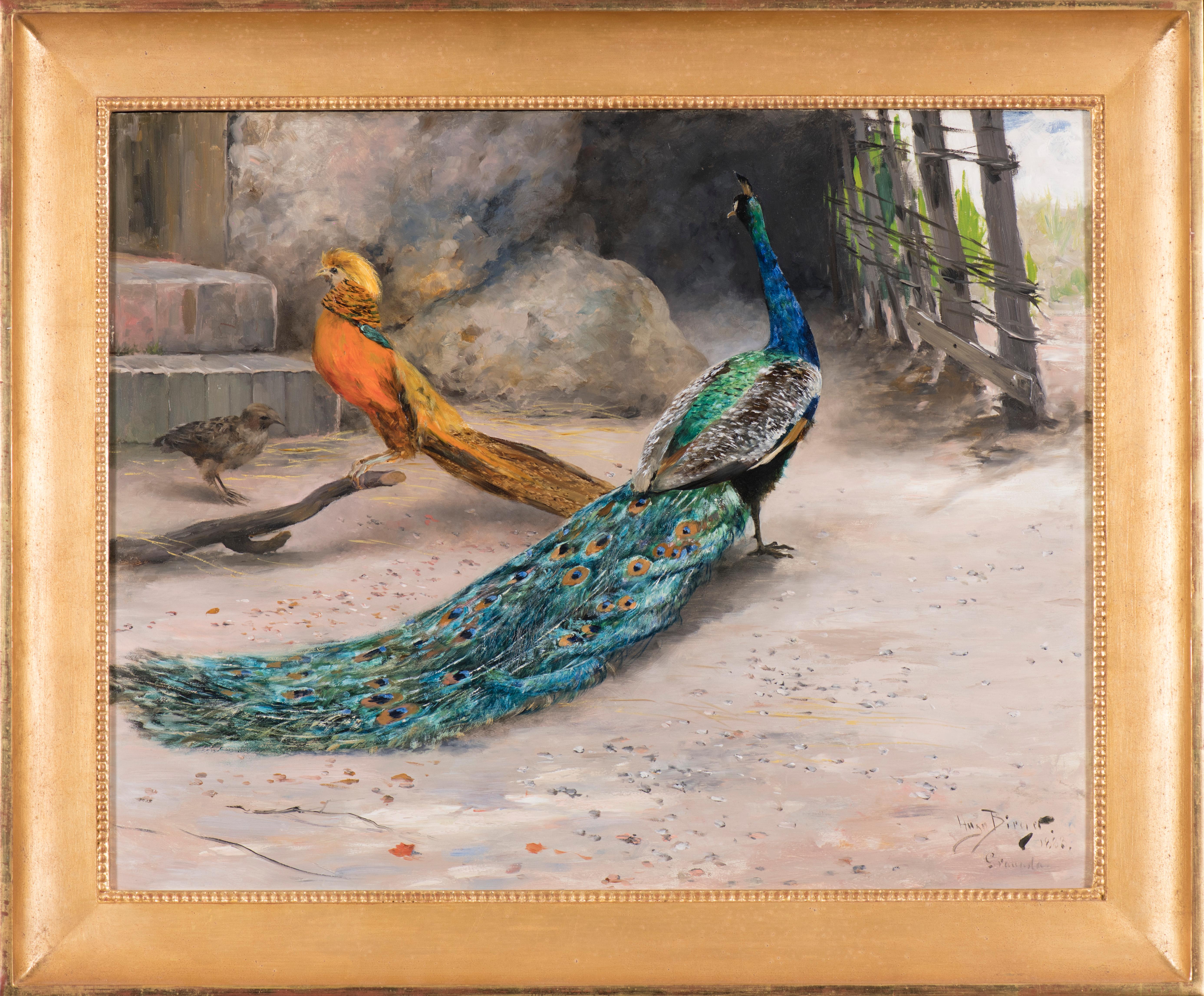 Peacock, thrush, and golden pheasant - Painting by Hugo Birger