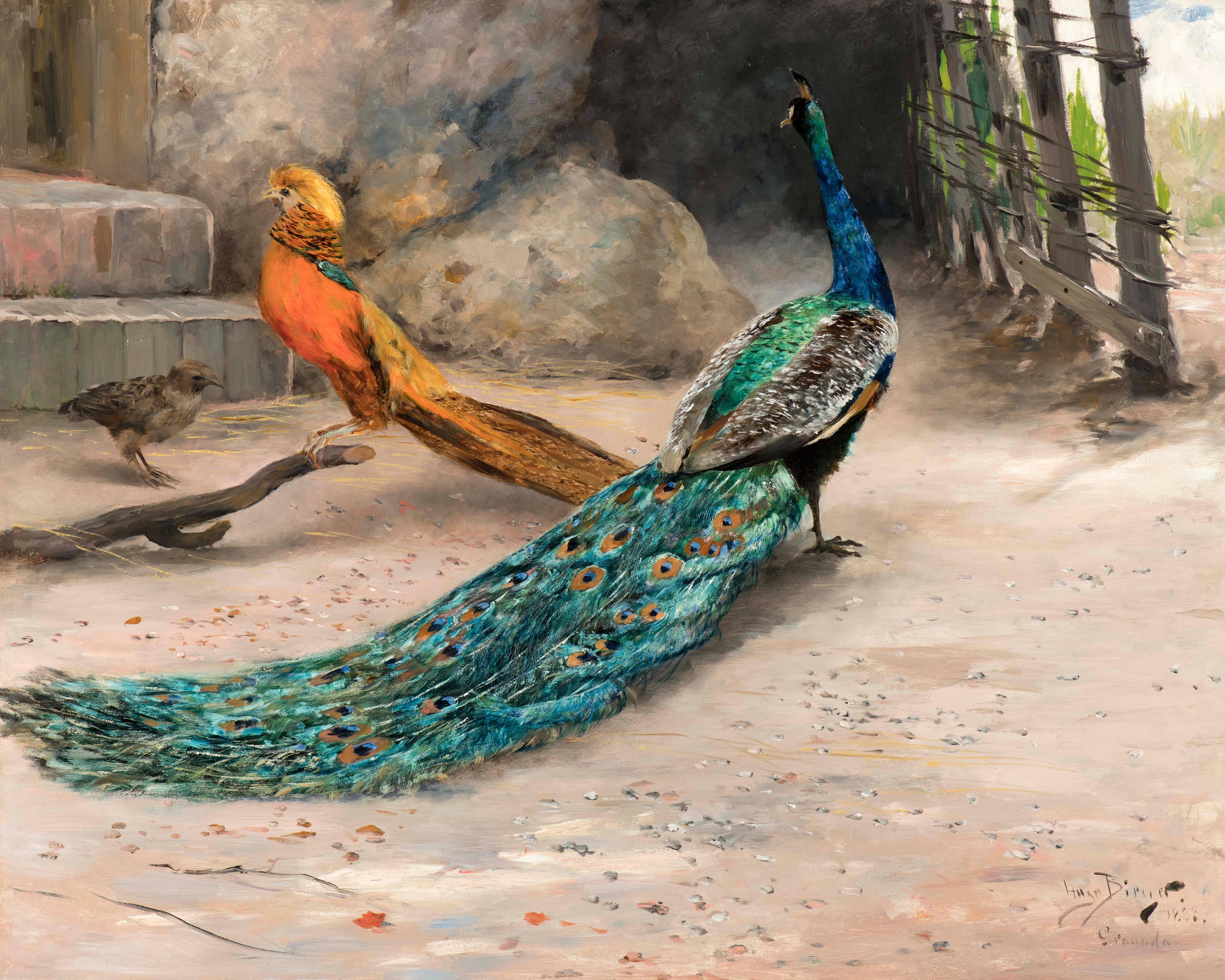 Hugo Birger Landscape Painting - Peacock, thrush, and golden pheasant