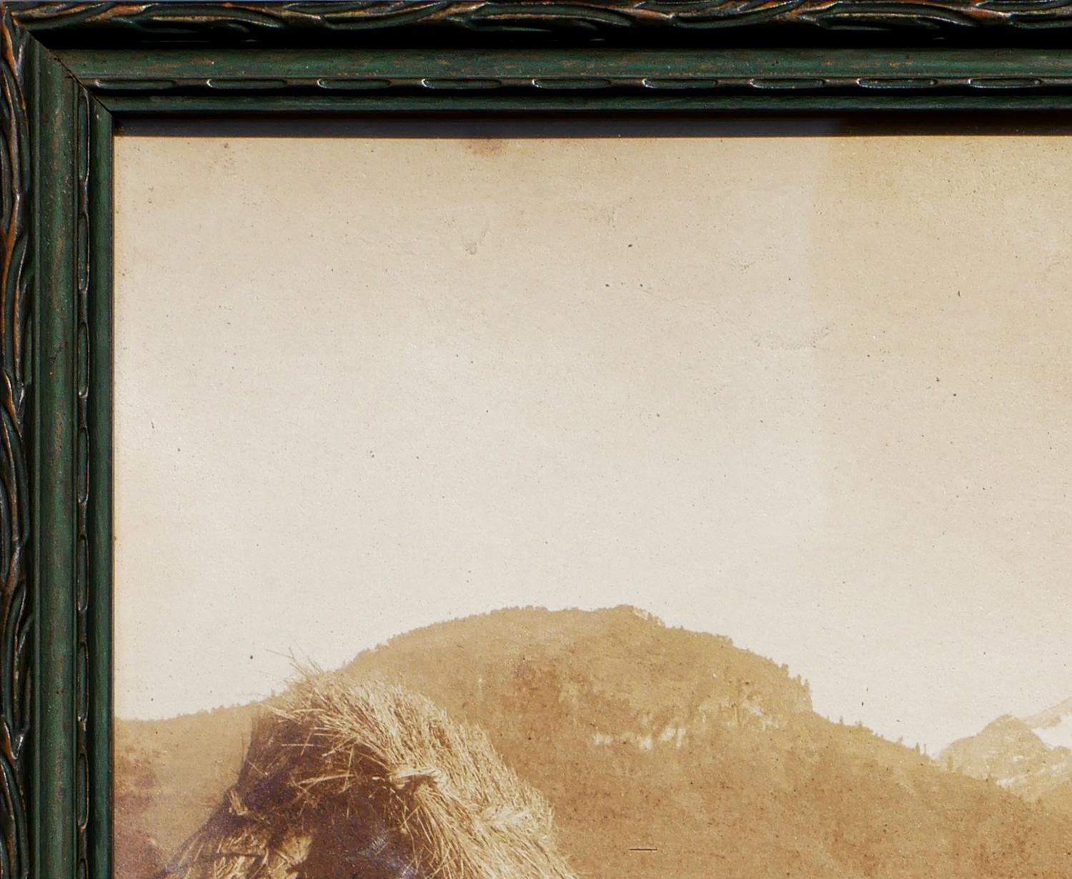 Early sepia-toned landscape photograph of Popocatepetl, a large mountain peak in central Mexico. The work highlights a donkey staged in the foreground with the mountain standing in the distance. Signed and titled in the front lower margin. Currently