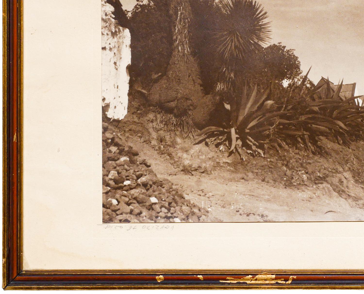 Fotografía temprana en blanco y negro del Pico Il Orizada, la montaña más alta de México. La obra presenta varias figuras en primer plano que llevan mercancías a lomos de burros mientras caminan por un sendero mientras el pico de la montaña se alza