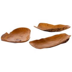 Hugo Franca Reclaimed Ancient Pequi Wood Bowls / Trays, 2015-6
