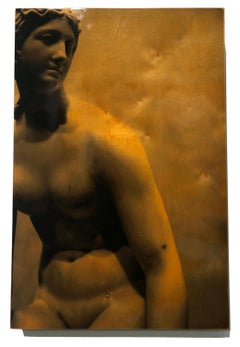 "Persephone" contemporary and elegant, mixed media photography on wood, hi-gloss