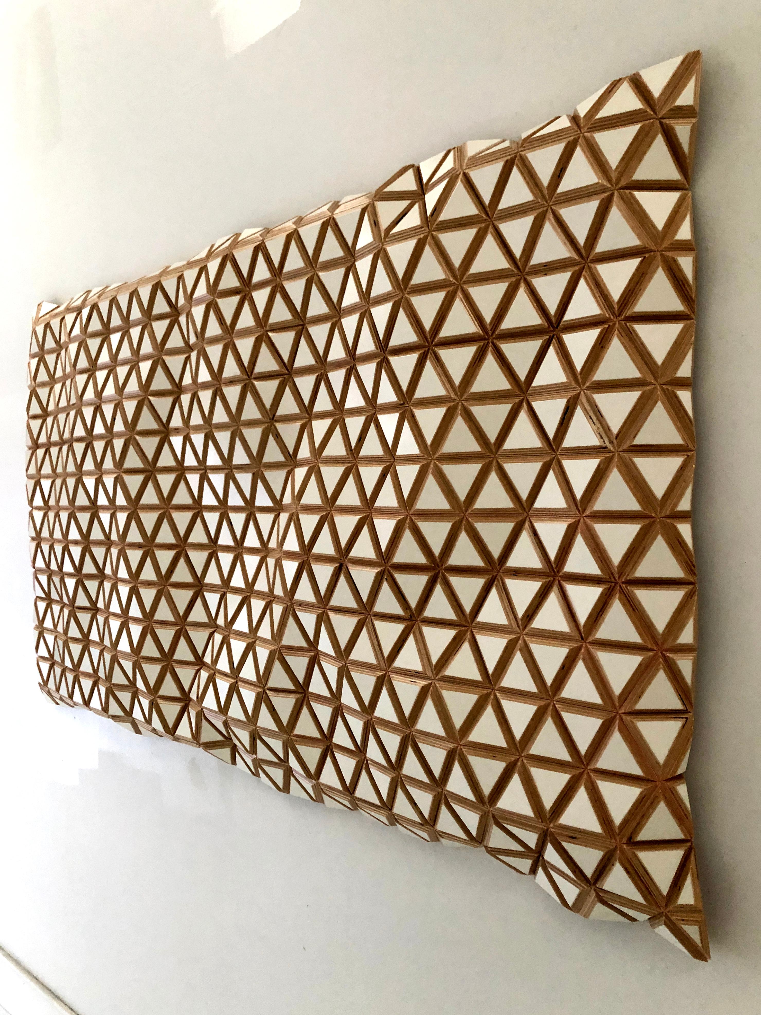 Patagonia - Flexible Rigid, carved wood sculptural wall, parametric design - Brown Abstract Painting by Hugo Garcia-Urrutia