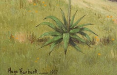 "Saddle Mountain"  Mexico