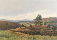 Danish landscape with heather