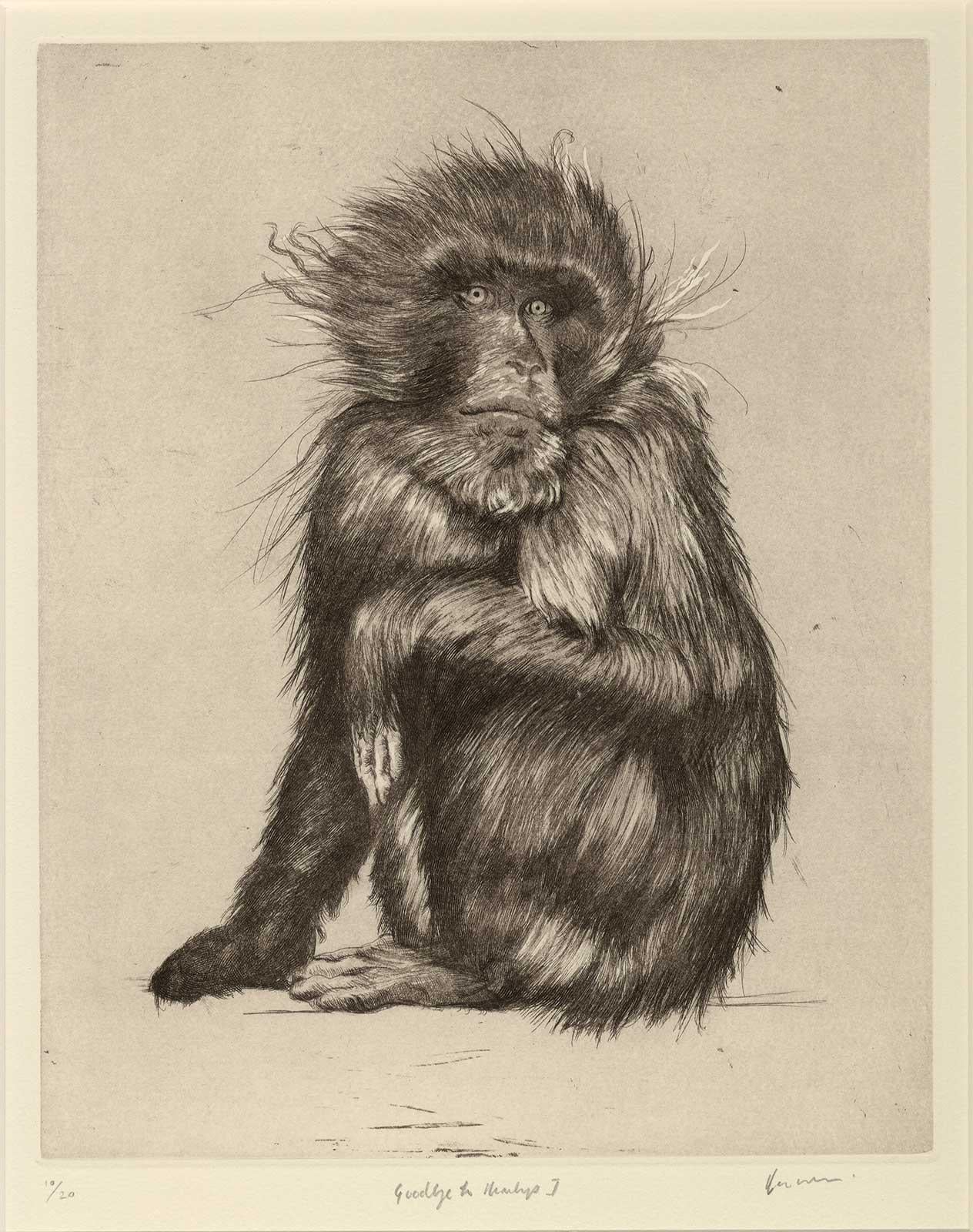 This impression is #10 from an edition of only 20.

The ‘Goodbye to Monkeys’ series of etchings with aquatint well demonstrates Wilson’s skill and sensitivity – both in terms of his choice of medium for these works (he is a skilled draughtsman and
