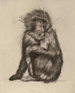 Goodbye to Monkeys I by Hugo Wilson (Monkey as Mirror of Man)