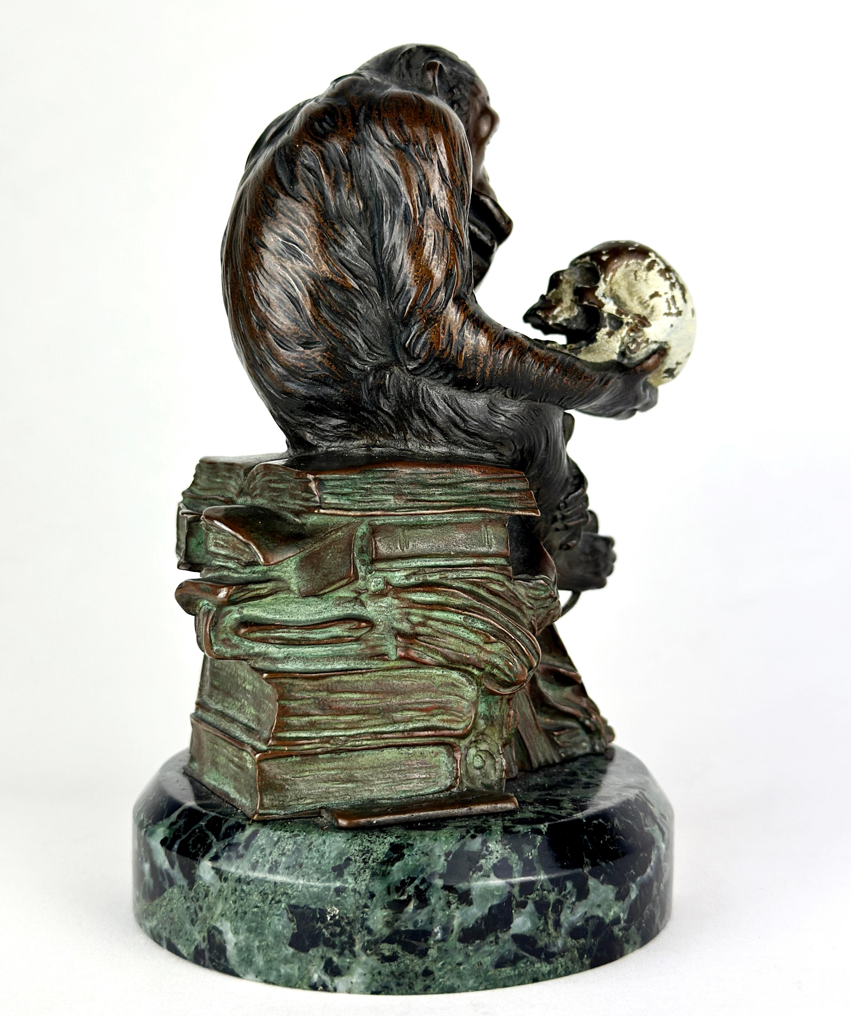 Scimmia con teschio, circa 1900,  Bronzo, firmato in vendita 9