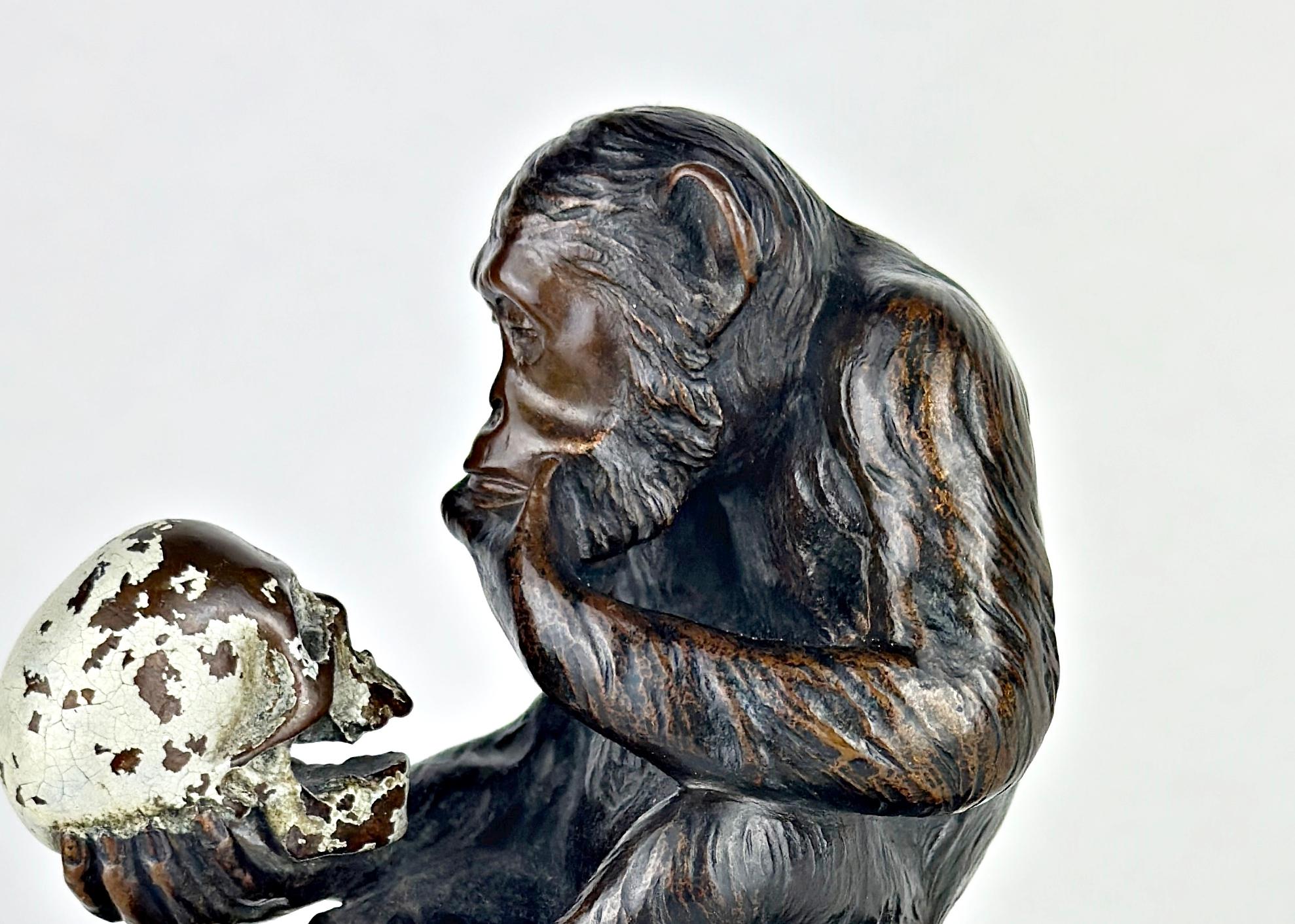 Scimmia con teschio, circa 1900,  Bronzo, firmato in vendita 2