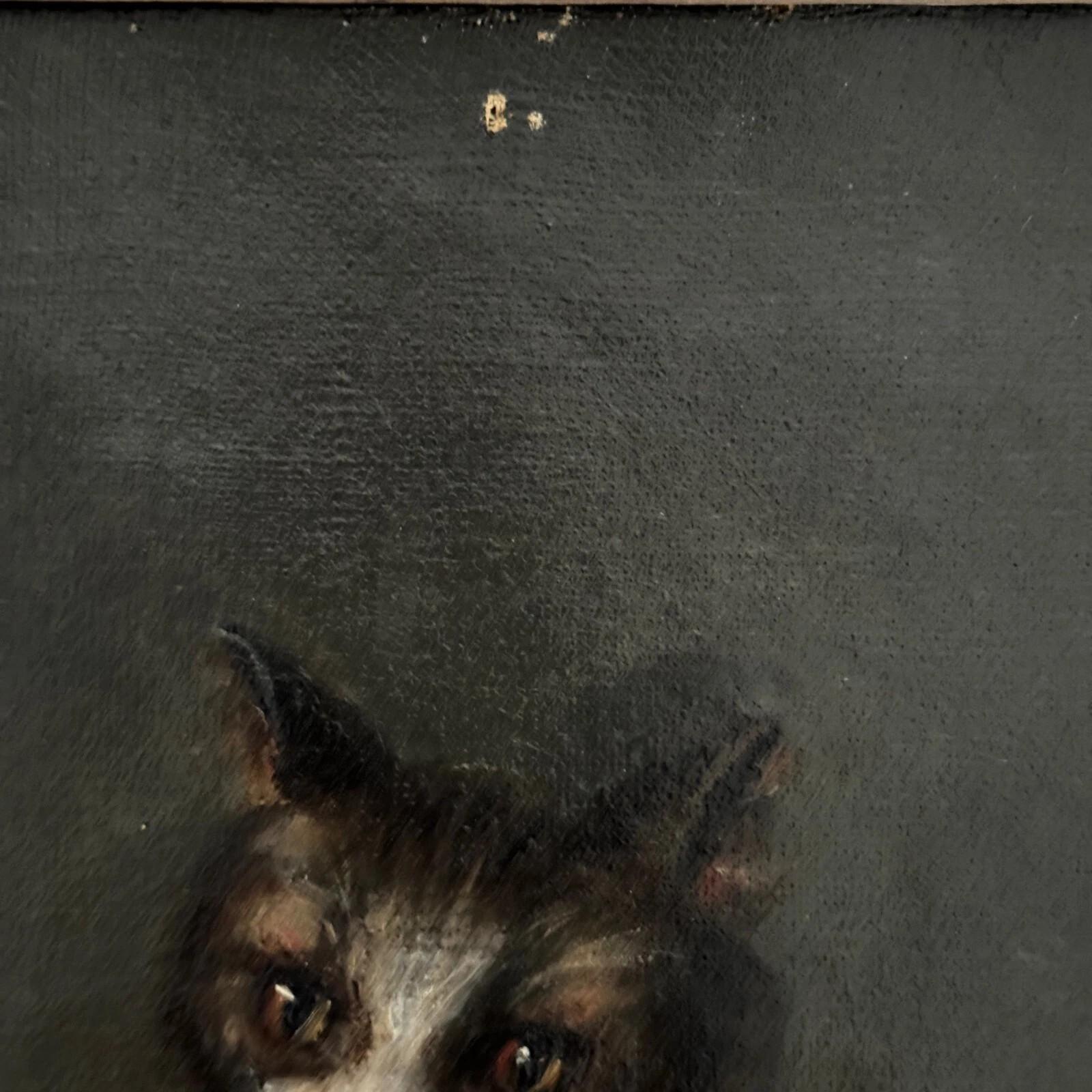 Oil on canvas – Cat Portrait – Signed Henriette Barry, 1899 For Sale 3