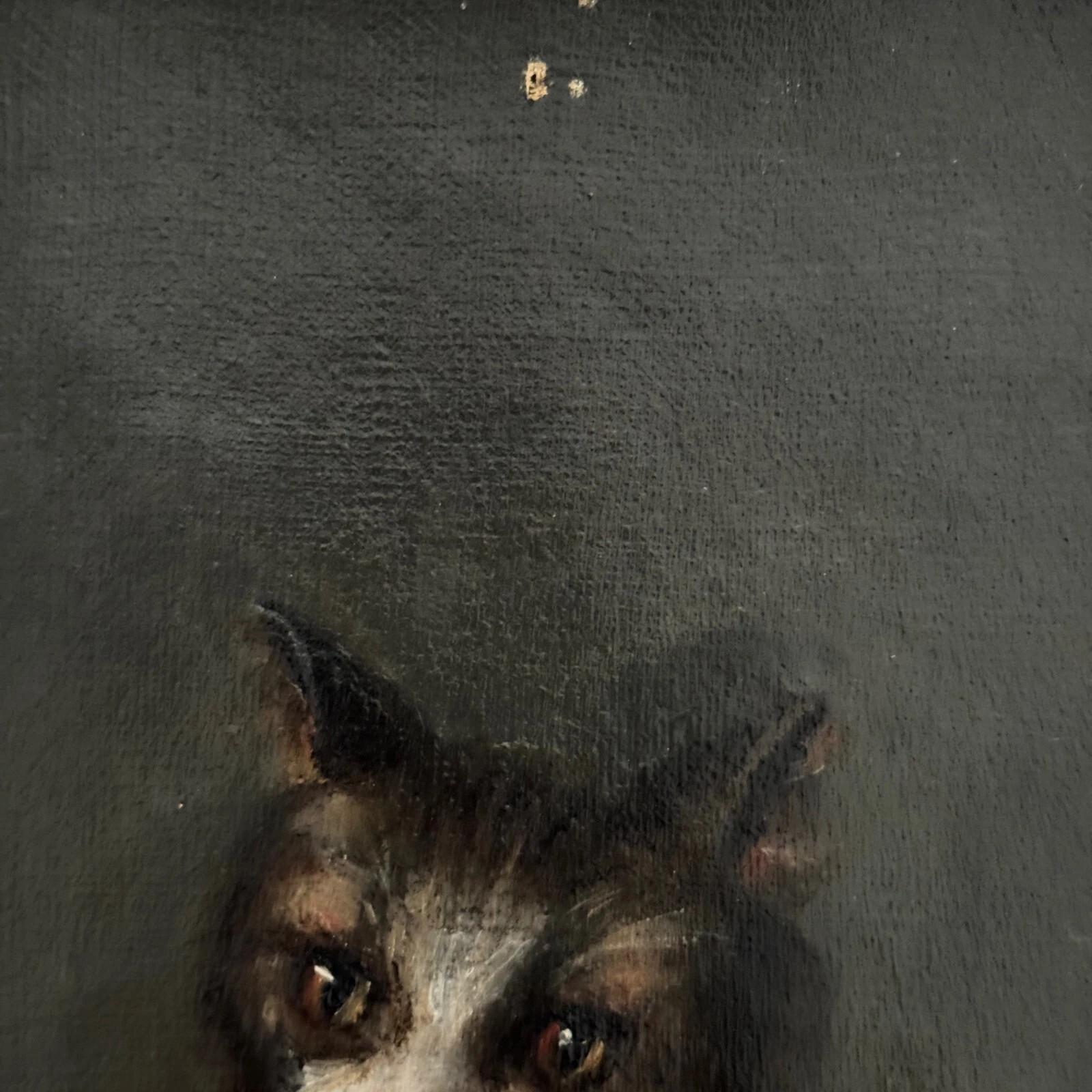 Oil on canvas – Cat Portrait – Signed Henriette Barry, 1899 For Sale 4