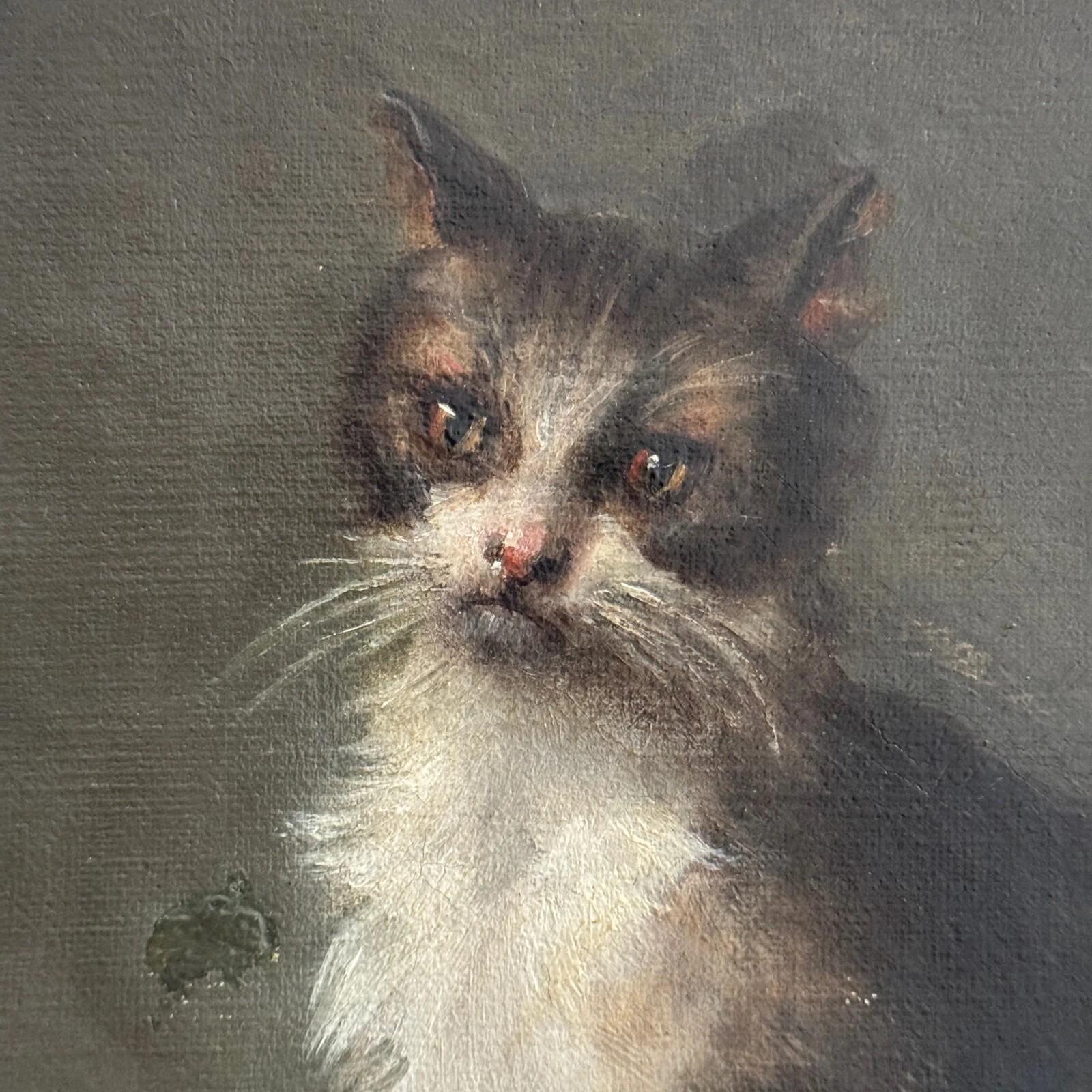 Oil on canvas – Cat Portrait – Signed Henriette Barry, 1899 For Sale 5