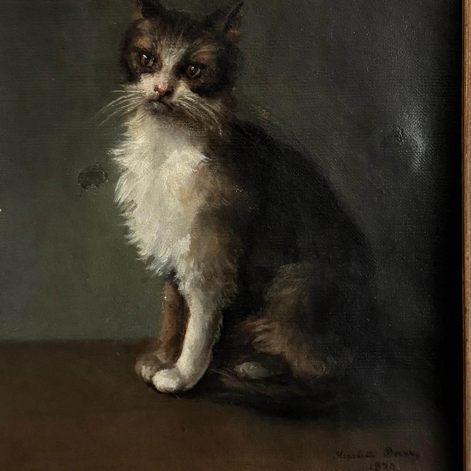 19th Century Oil on canvas – Cat Portrait – Signed Henriette Barry, 1899 For Sale