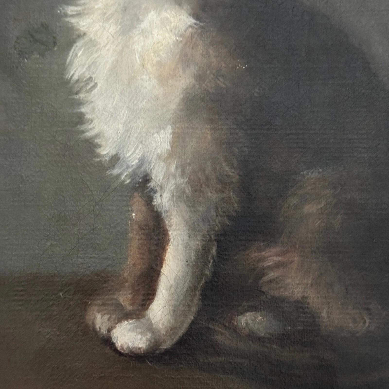 Oil on canvas – Cat Portrait – Signed Henriette Barry, 1899 For Sale 1