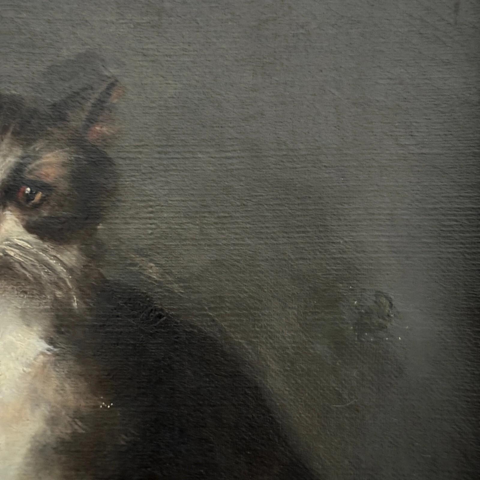 Oil on canvas – Cat Portrait – Signed Henriette Barry, 1899 For Sale 2