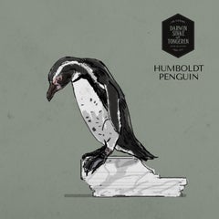 Humboldt Penguin Commission van Sinke & van Tongeren