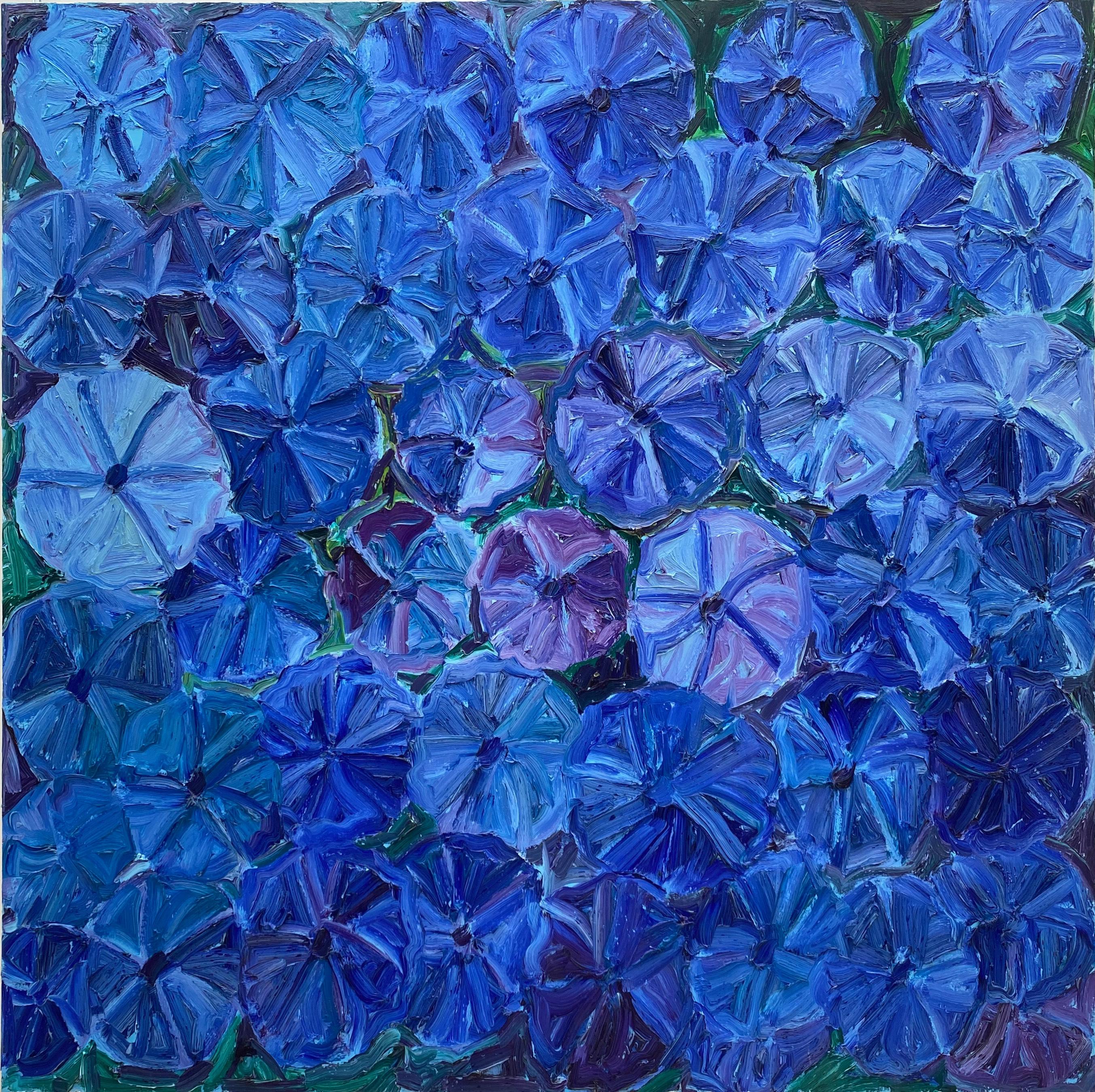 "4 esquinas", obra de óleo sobre lienzo creada por Hunt Slonem en 2018. Esta pieza mide 152 x 152 cm y está en excelente estado, nueva. La obra presenta una densa disposición de flores de gloria de la mañana, con pétalos de distintos tonos de azul y