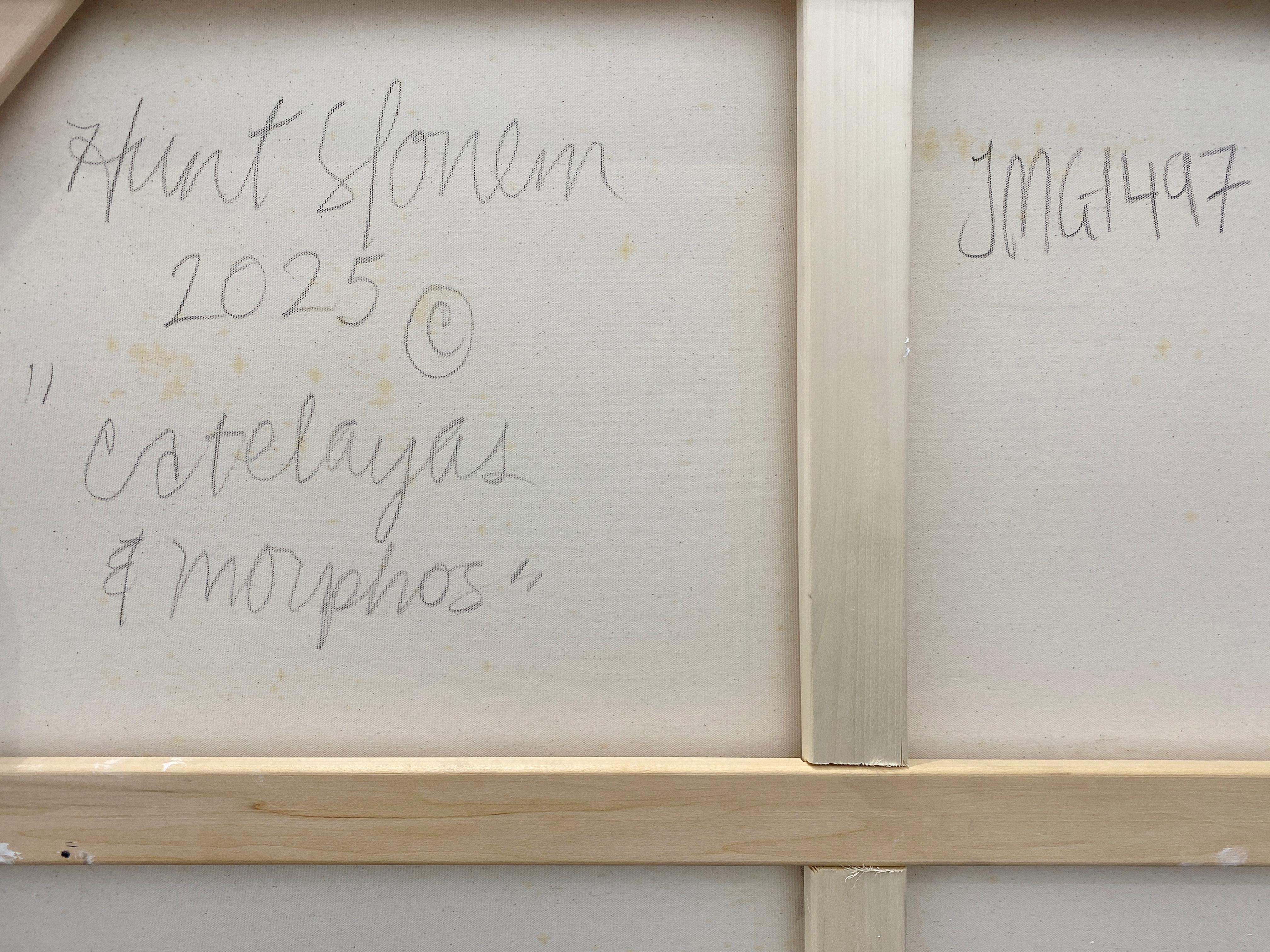 Artiste :  Slonem, Hunt
Titre :  Catelayas & Morphos 
Date :  2025 
Moyen :  Huile sur toile
Sans cadre Dimensions :  36