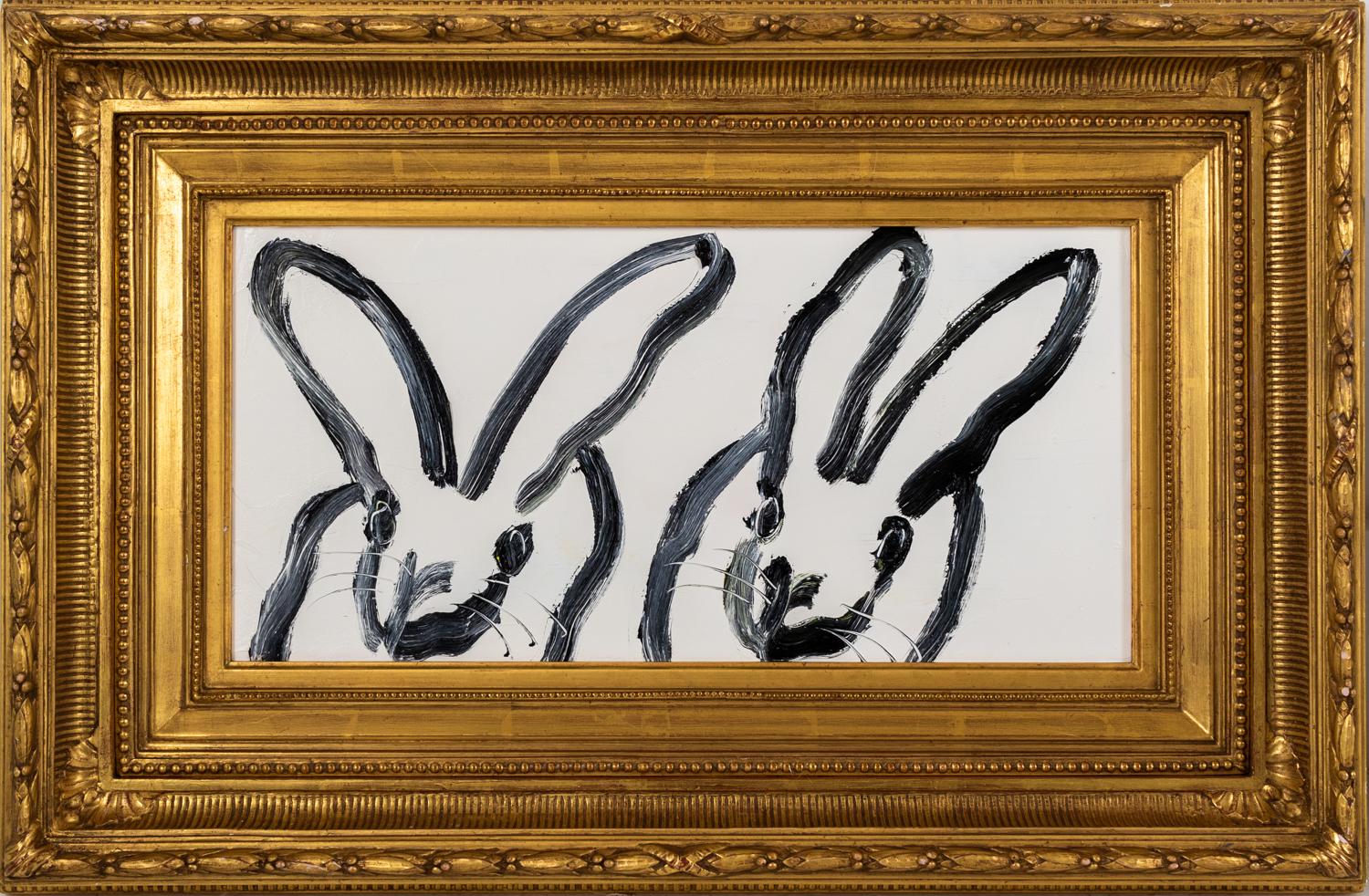 black and white bunnies for sale