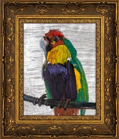 Hunt Slonem "Lorikeet" Multicolor Bird on Silver
