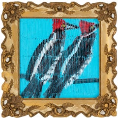 Ivory Billed Woodpeckers