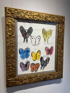 Madagascar Swallowtail