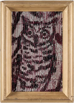 Búho magenta